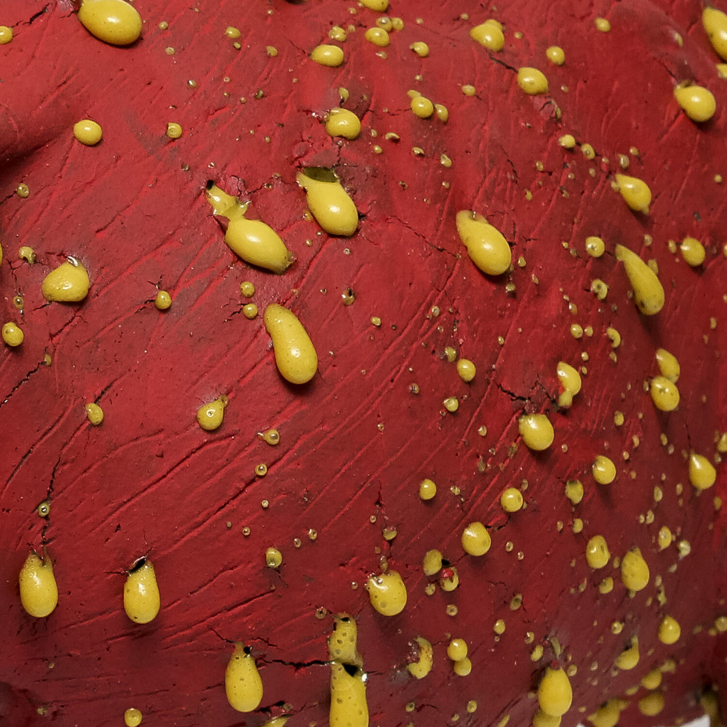 Kayser_Left Red Yellow Large_Nevica_004-web.jpg