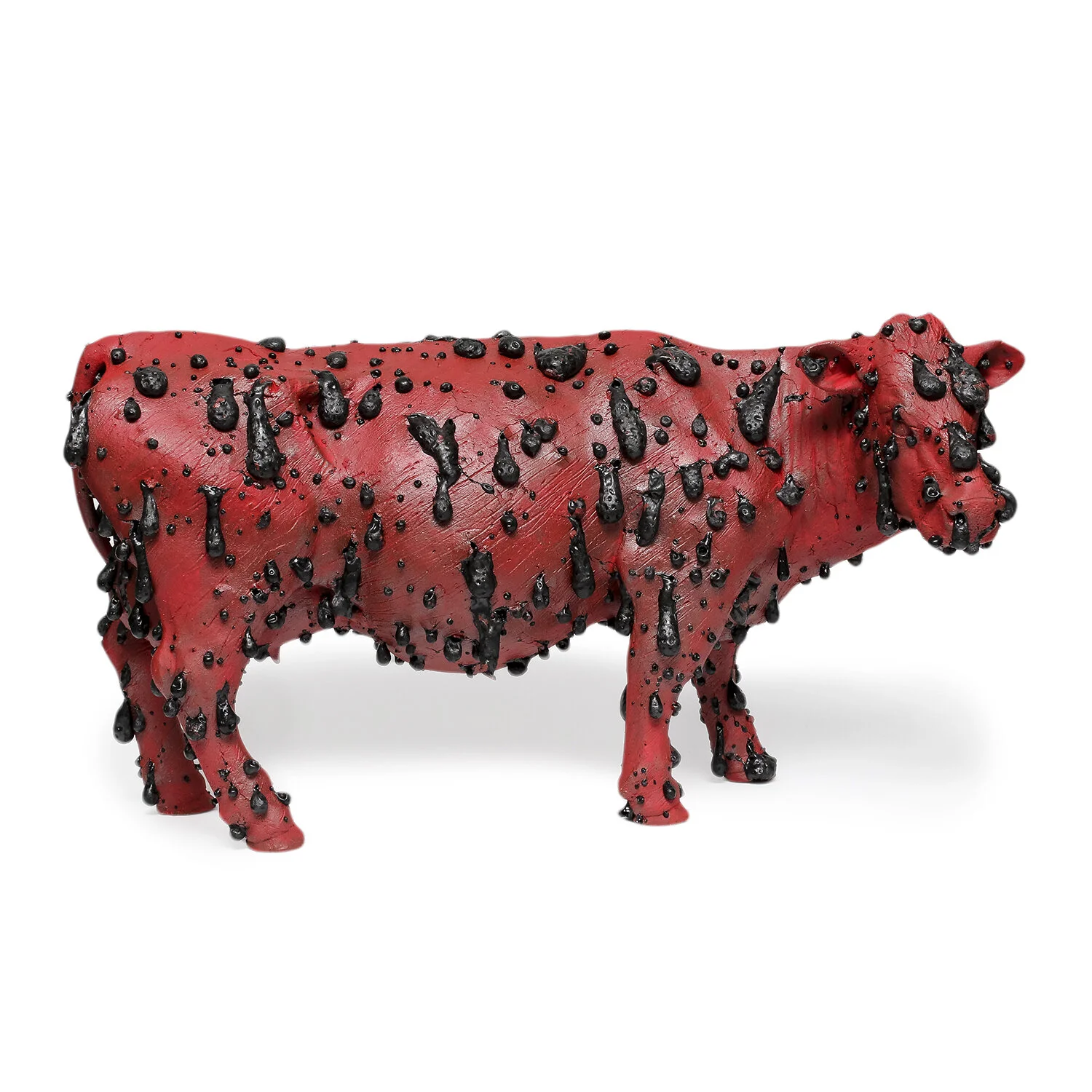 Herd Immunity (INV# NP2574)