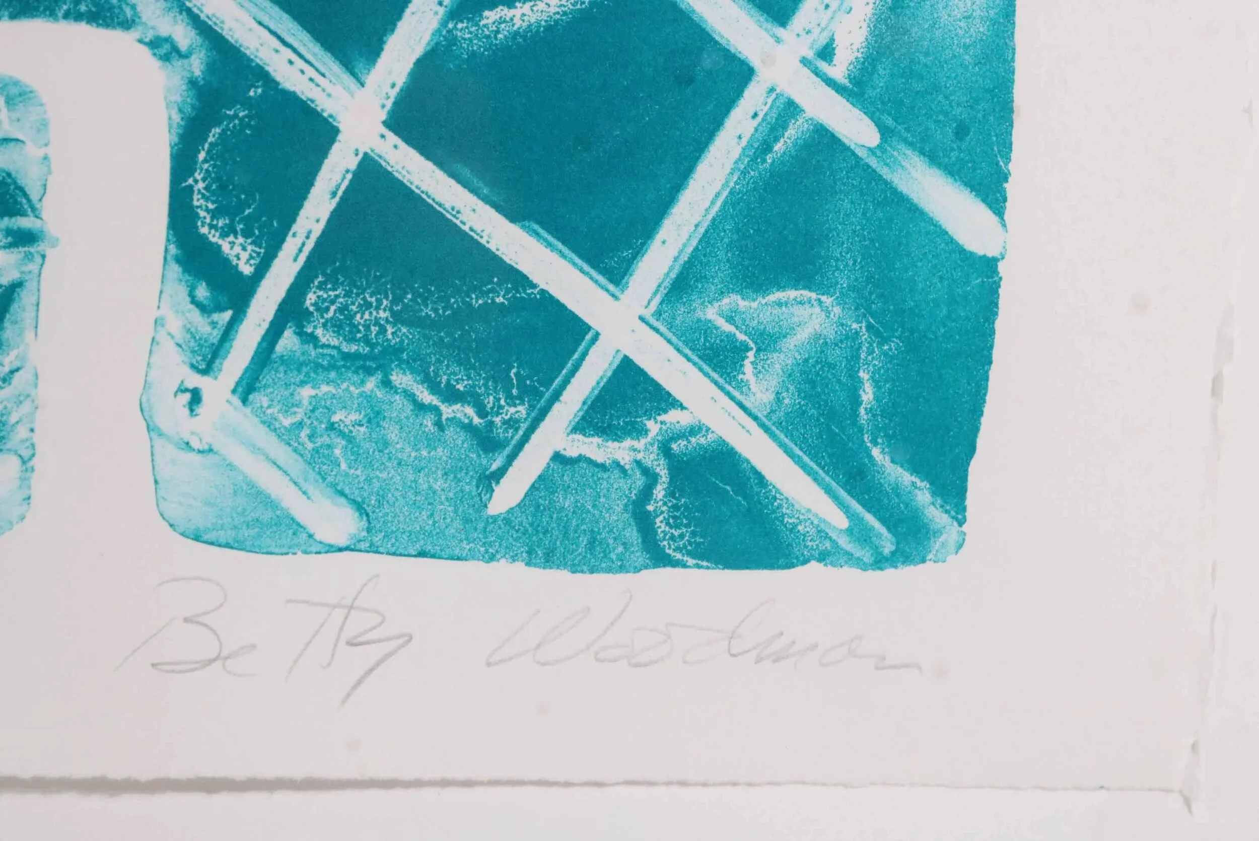 Woodman_Print2_Blue_Nevica copy.jpg