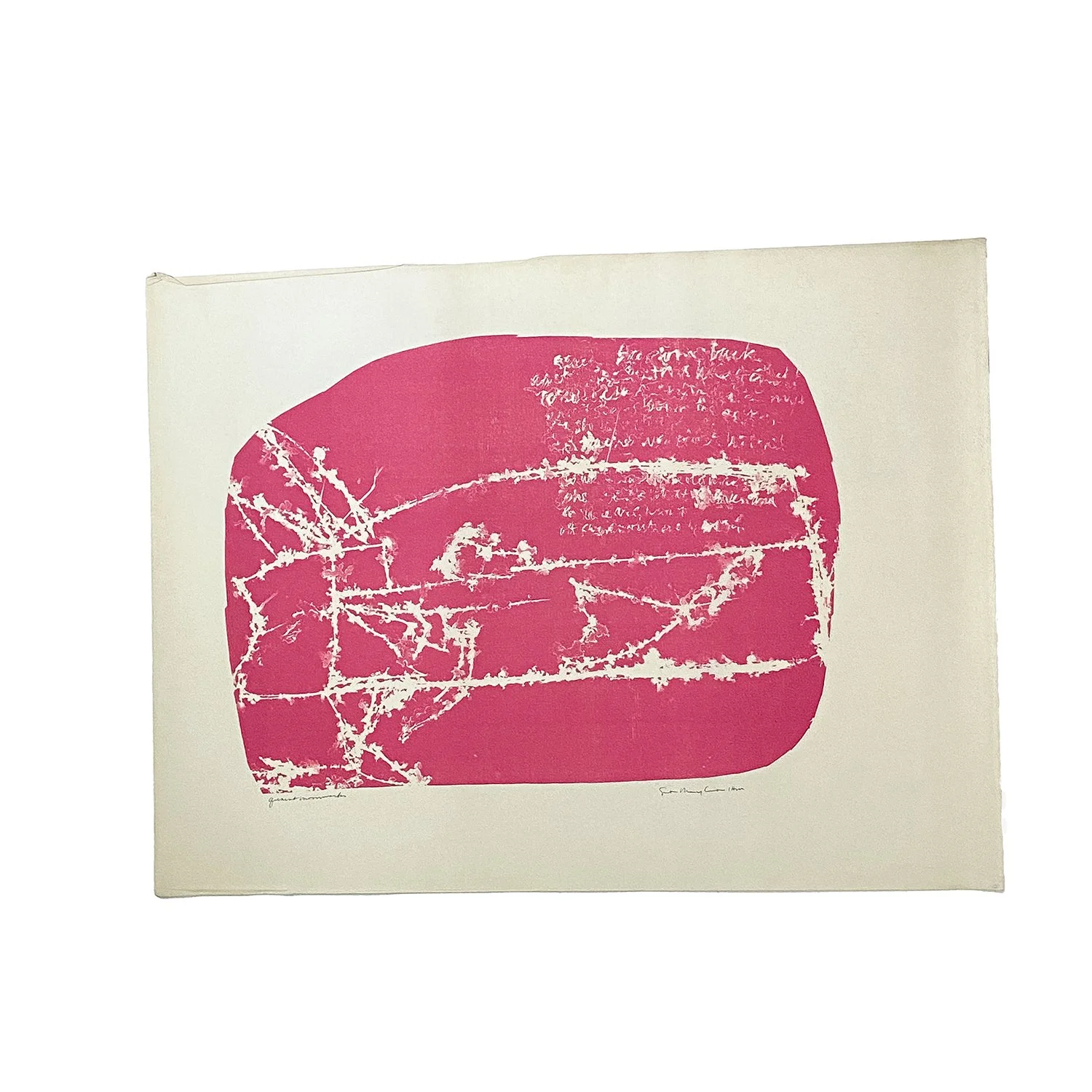 Kent_Hot Pink I_Nevica_002_web.jpg