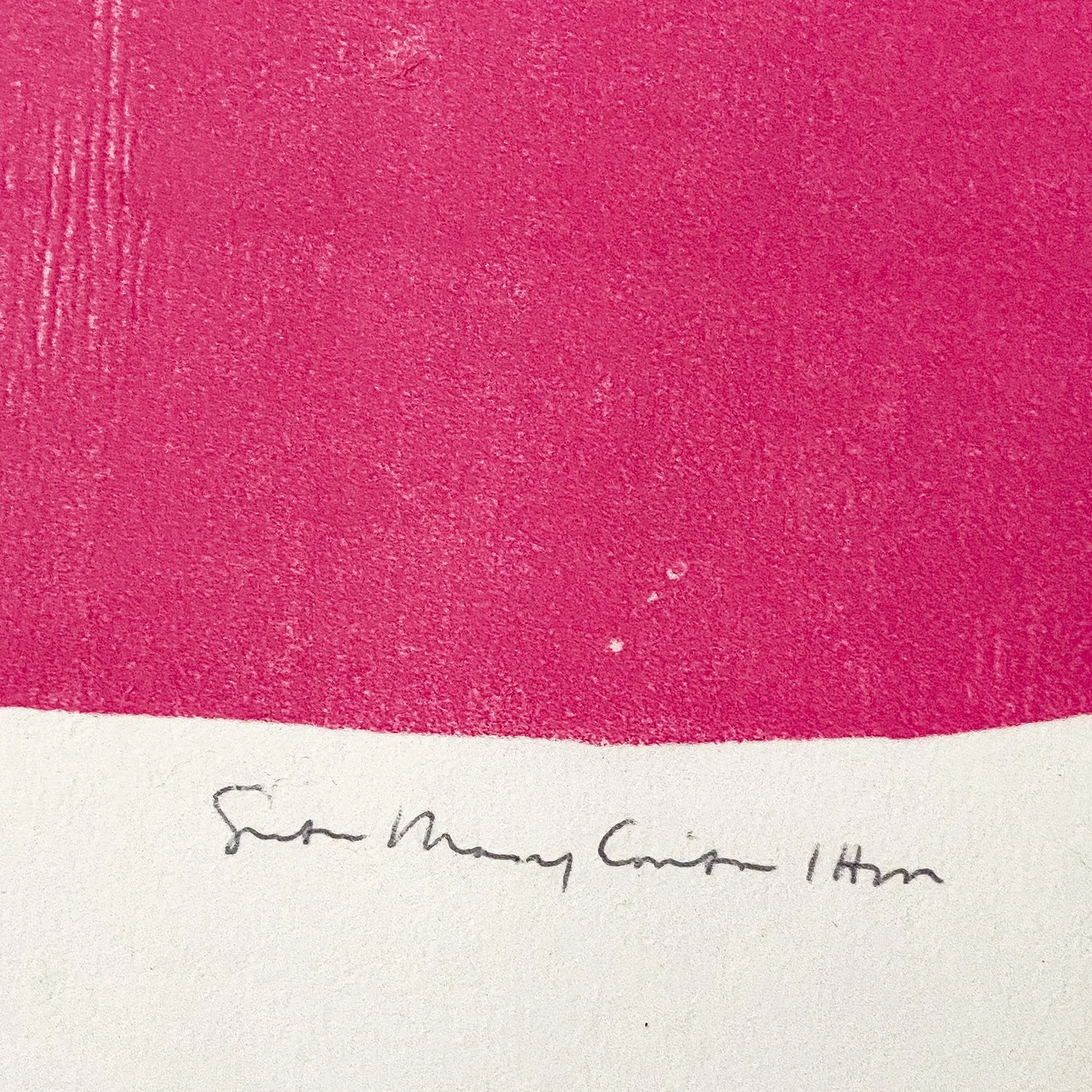 Kent_Hot Pink I_Nevica_004_web.jpg