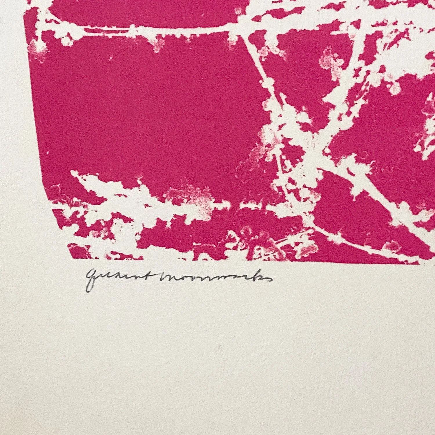 Kent_Hot Pink I_Nevica_006_web.jpg
