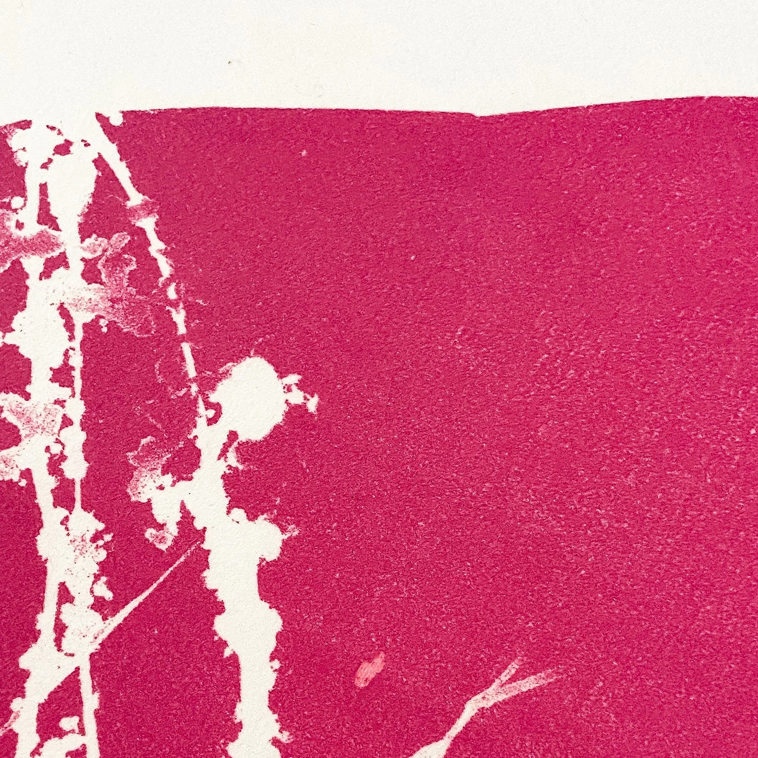 Kent_Hot Pink I_Nevica_009_web.jpg