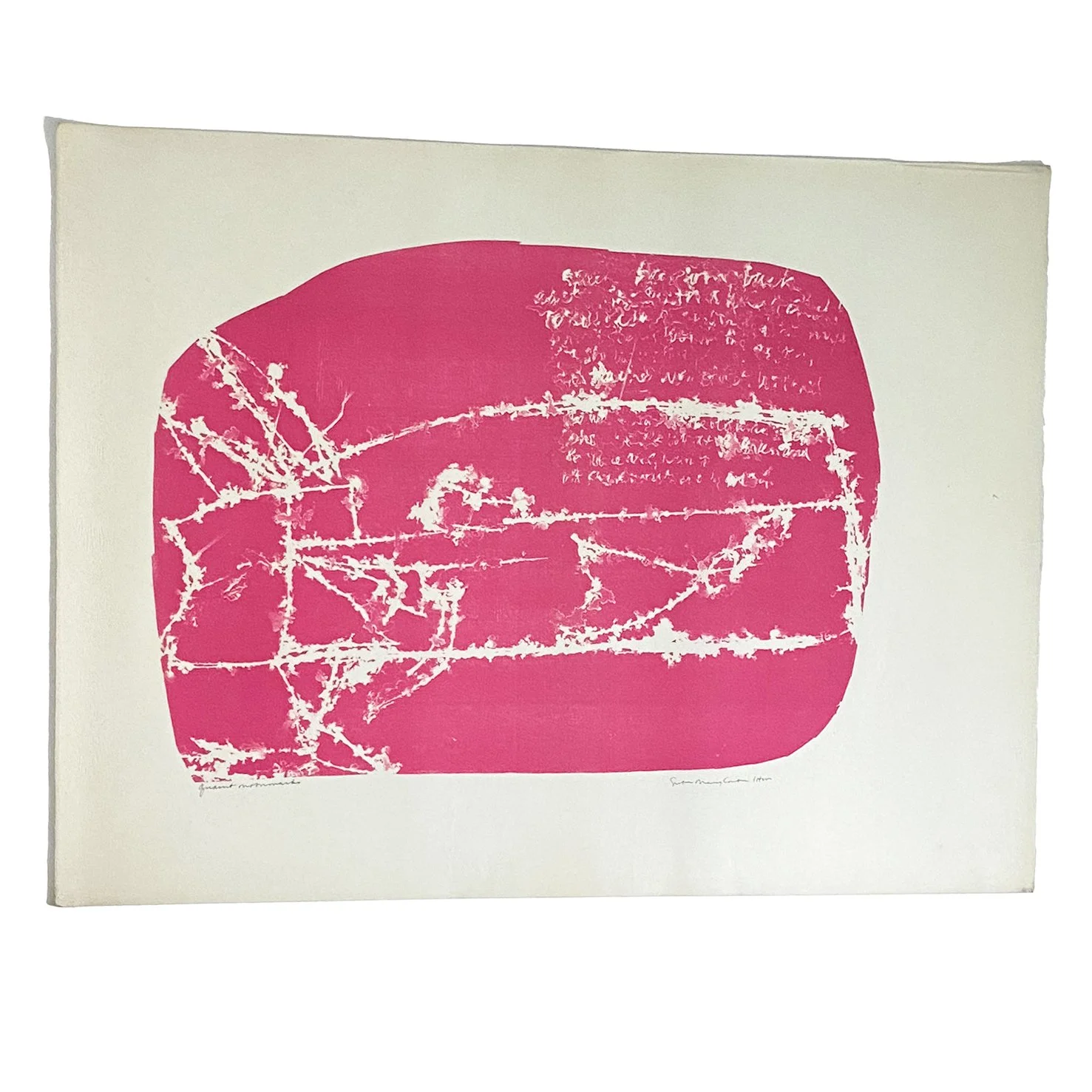Kent_Hot Pink II_Nevica_004_web.jpg