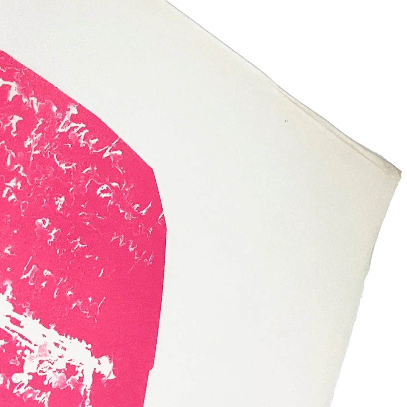 Kent_Hot+Pink+II_Nevica_009_web.jpg