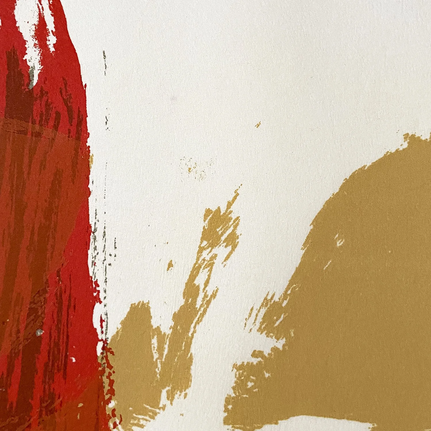 Kent_Black Red Gold_Nevica_016_web.jpg