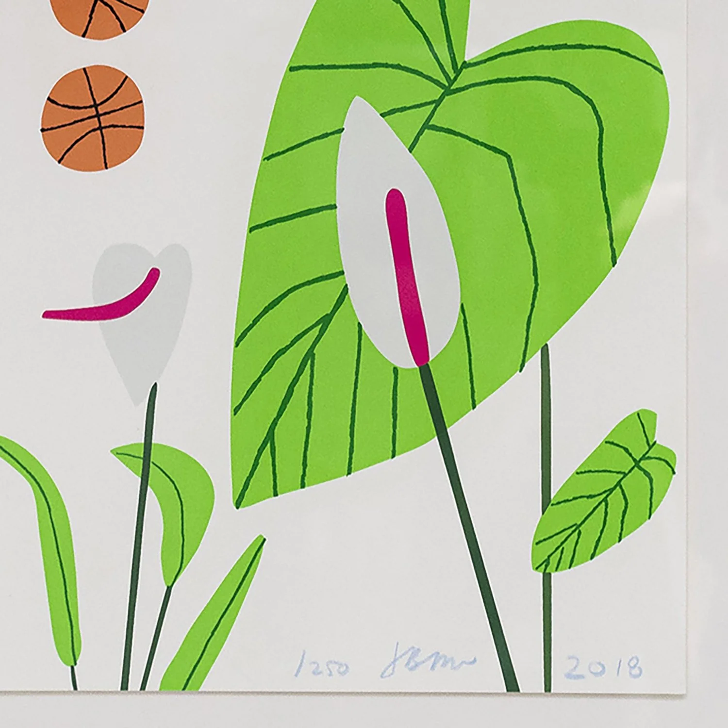 Wood_Basket Ball_Plant Print_Nevica_03_web.jpg