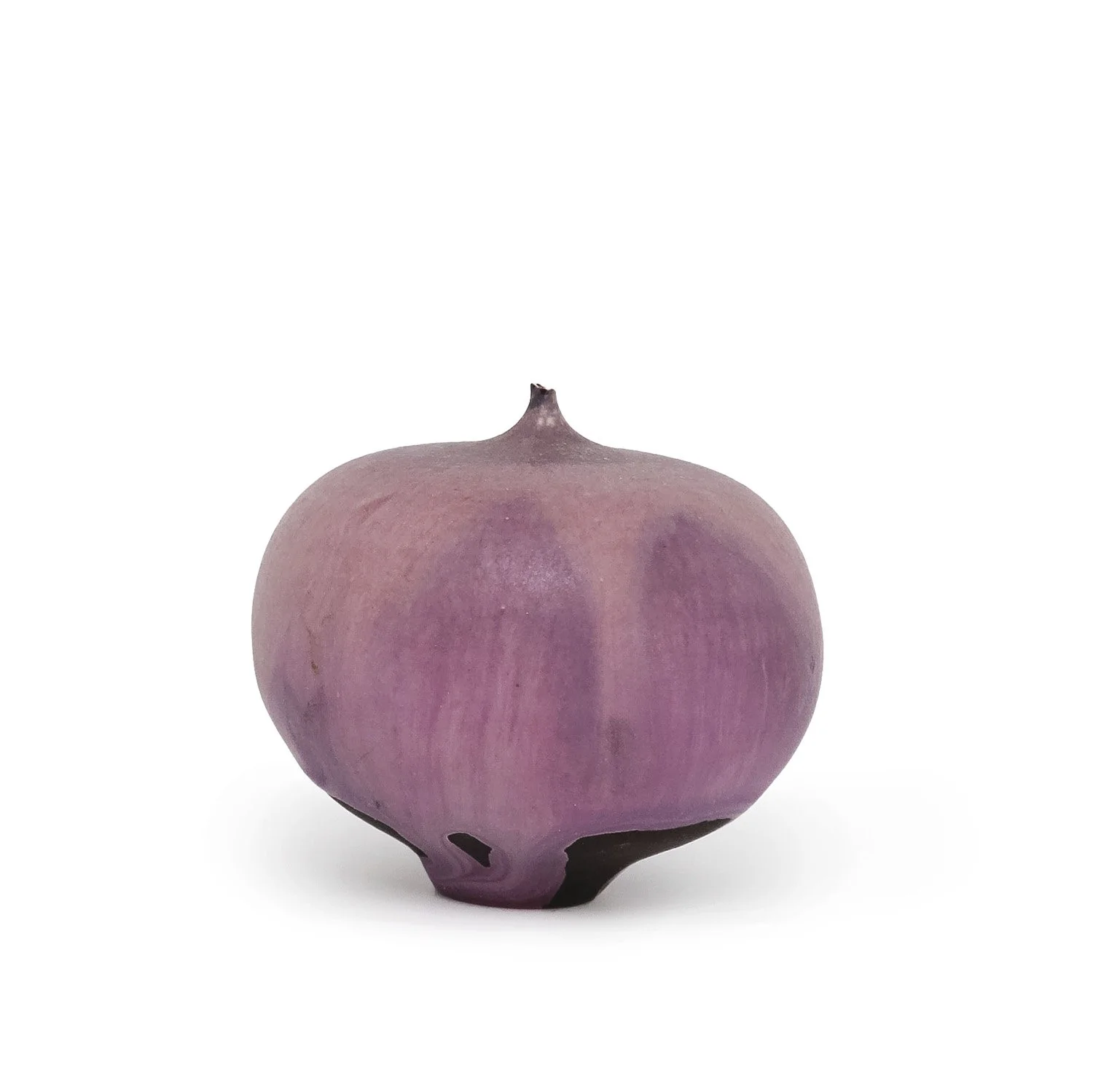 Cavat_Purple Feelie_NP3593_MC_Nevica_02_web.jpg