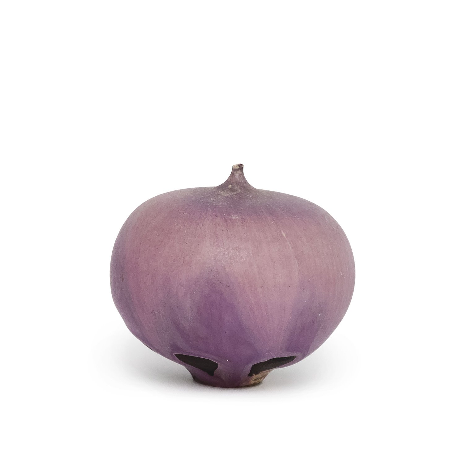 Cavat_Purple Feelie_NP3593_MC_Nevica_03_web.jpg