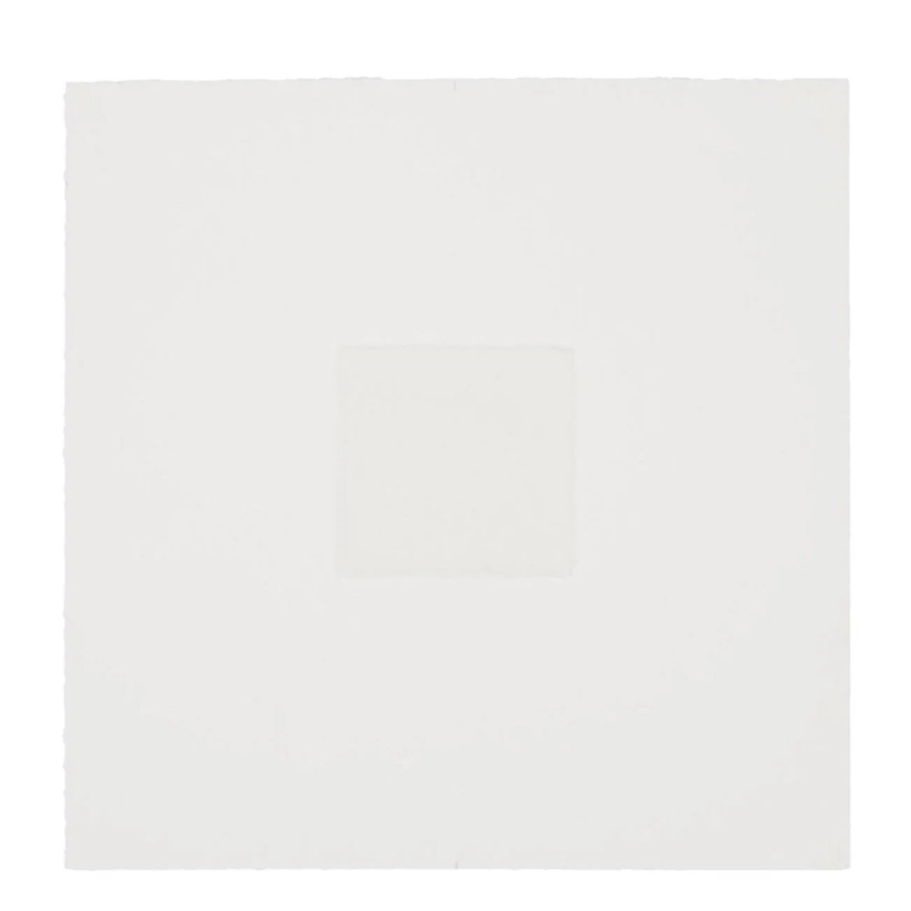 NP3992_Fitzpatrick_Little%25252BJumbo_Nevica_03.jpg