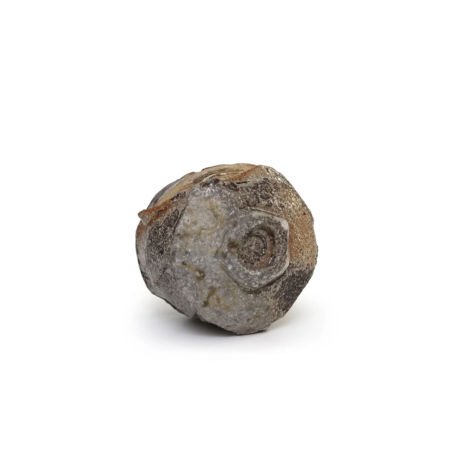 NP5221_Sataki_Guinomi 5_CS_Nevica_03_web.jpg