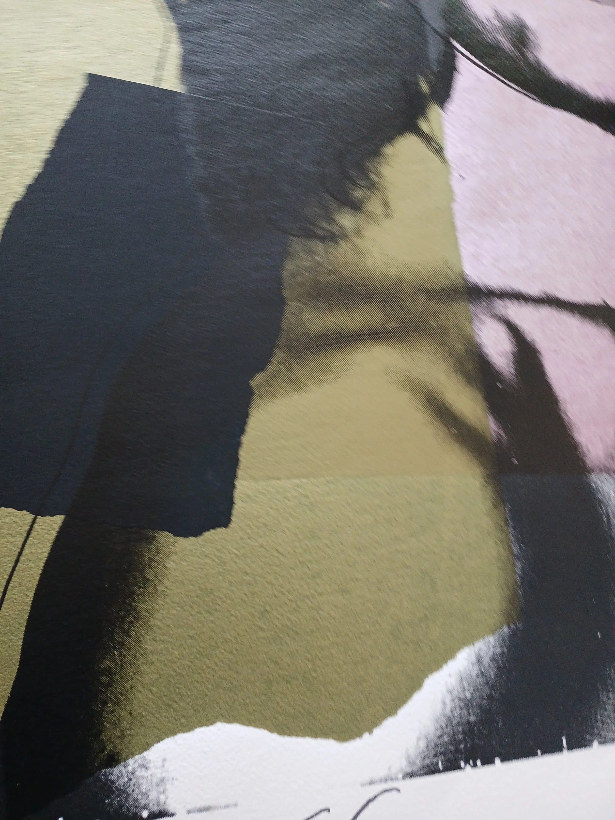 20240904_085509 copy.jpg