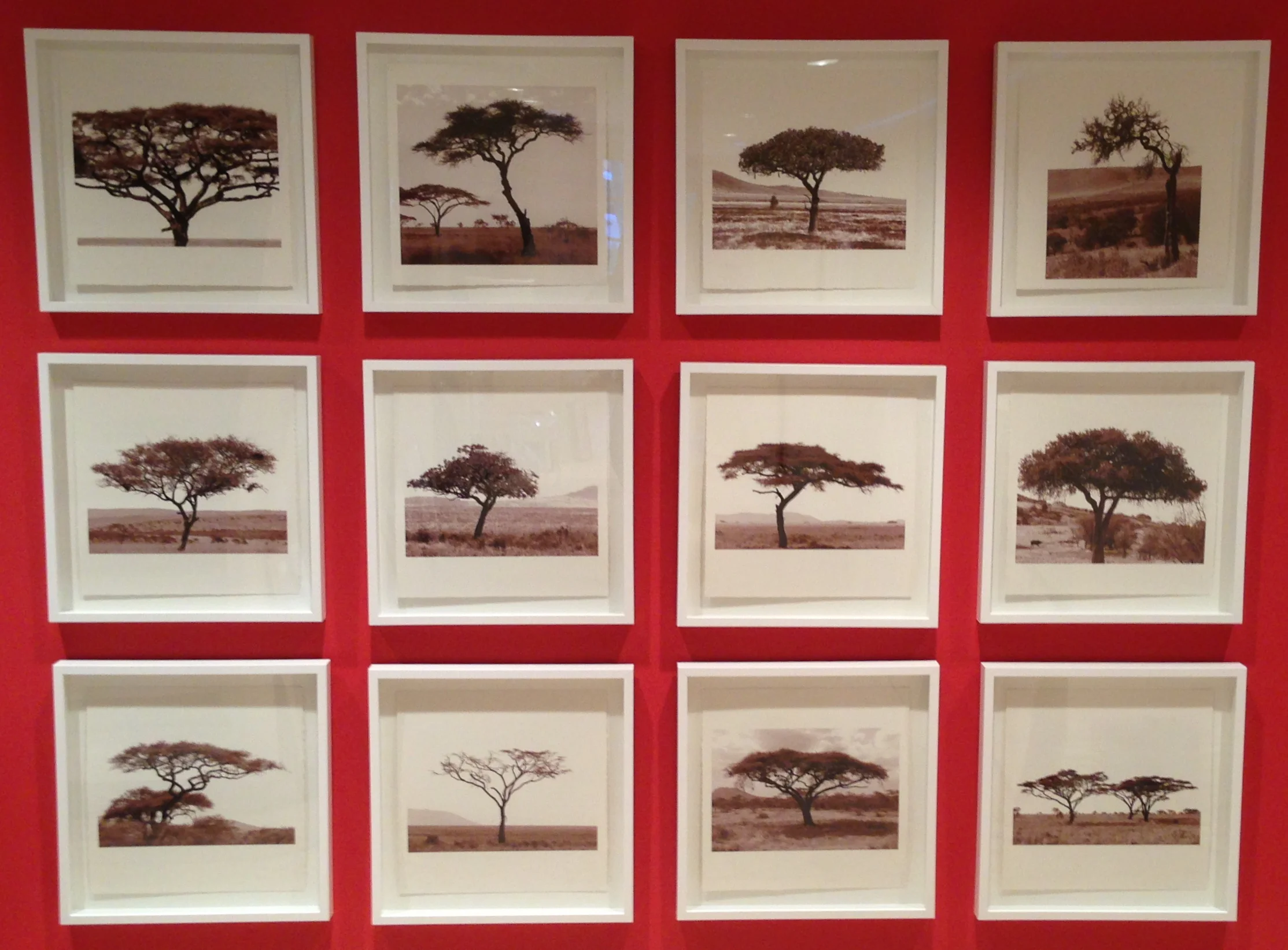 BROWN GALLERY back wall.JPG