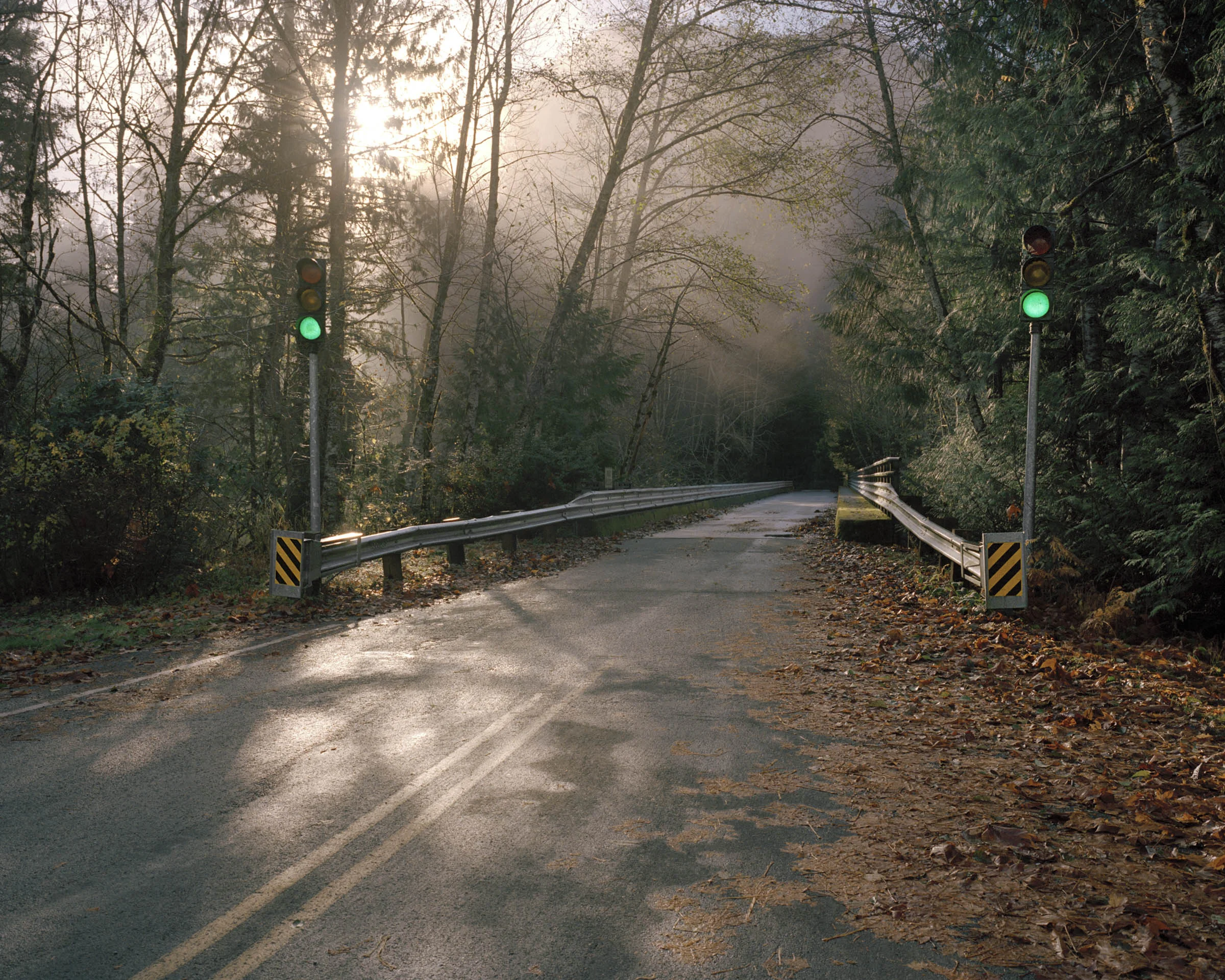 Anna Beeke - Green Lights
