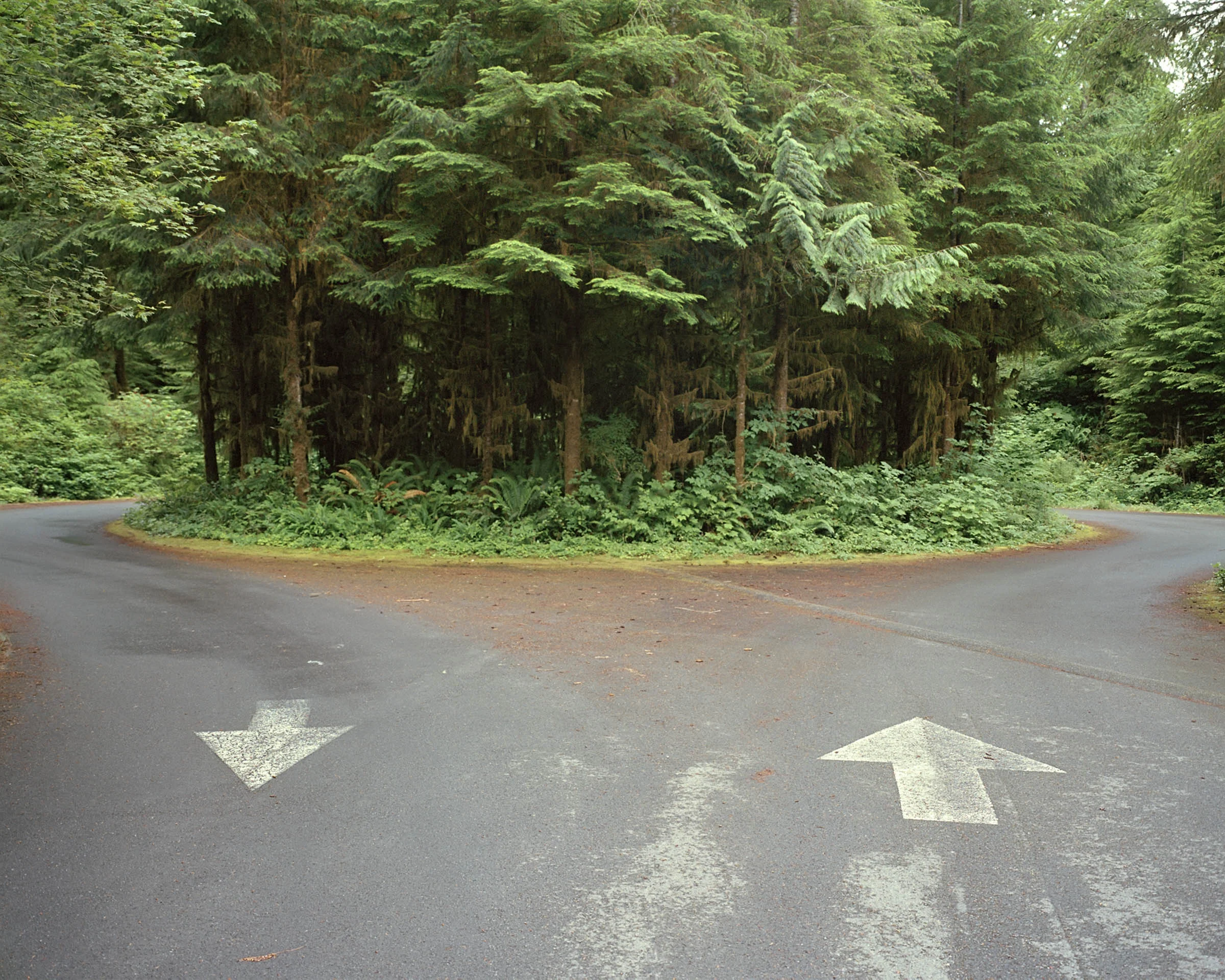 Anna Beeke - Decisions