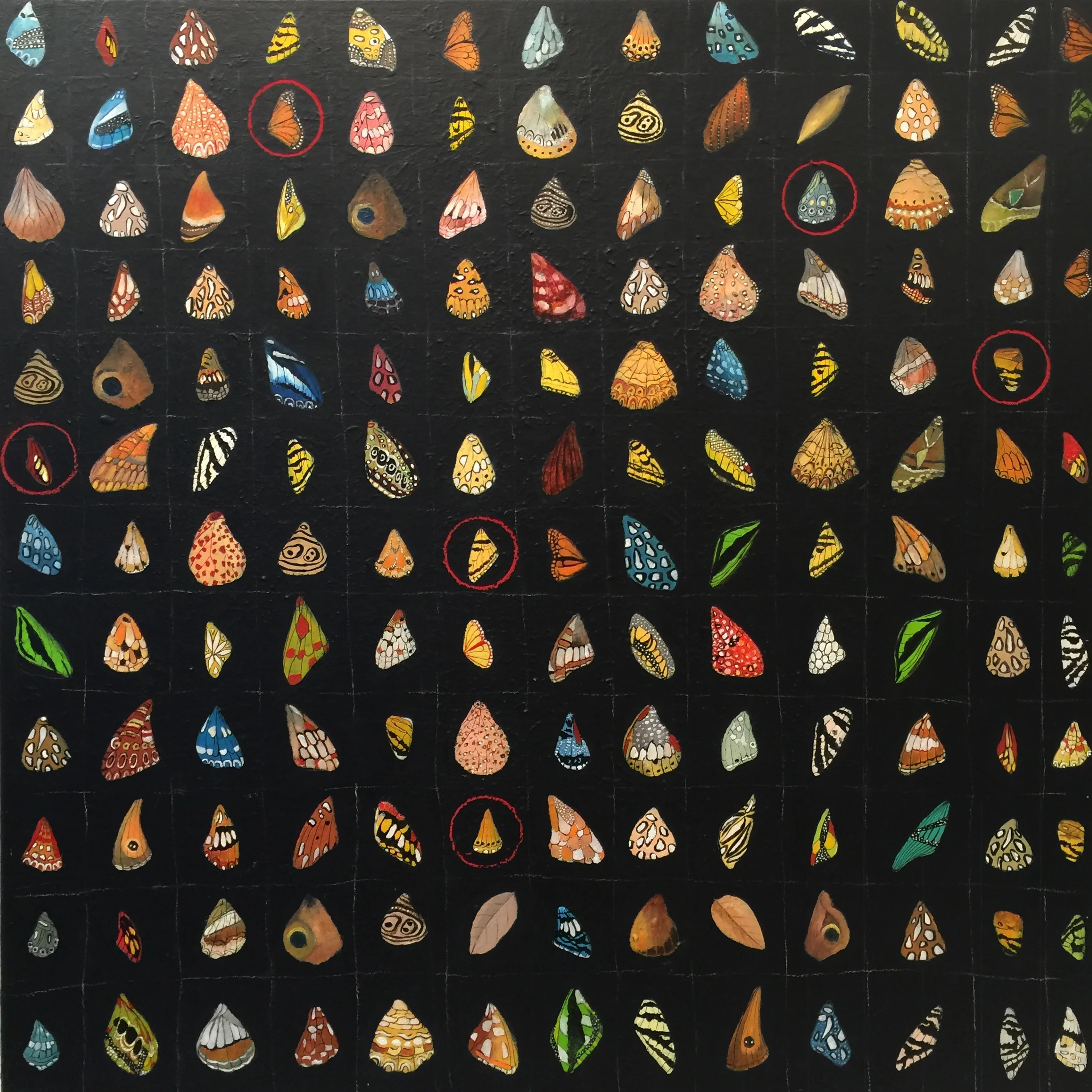 Kane _Wing on Wing_ hi.JPG