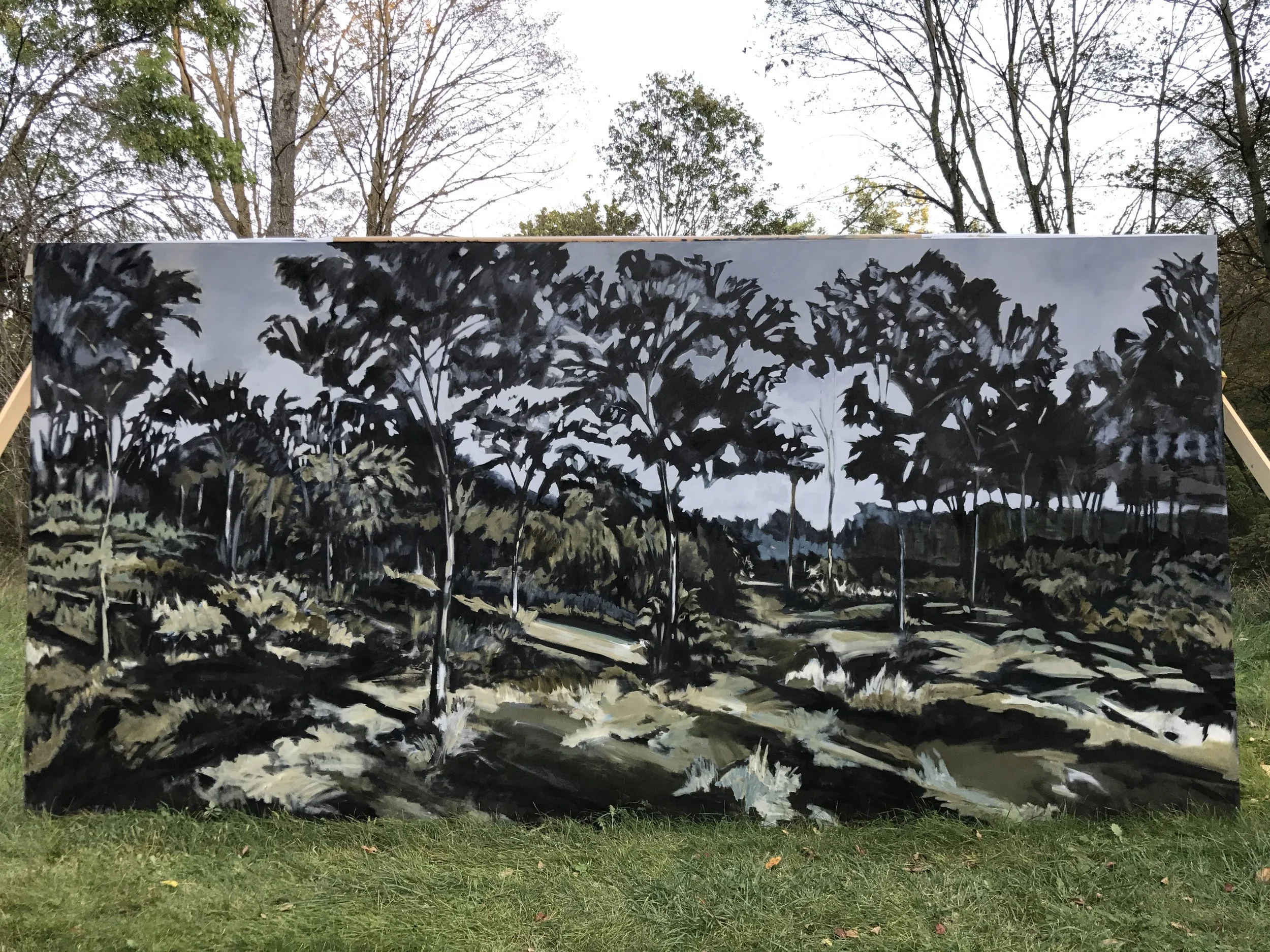 PAT large night outside dark (1).JPG