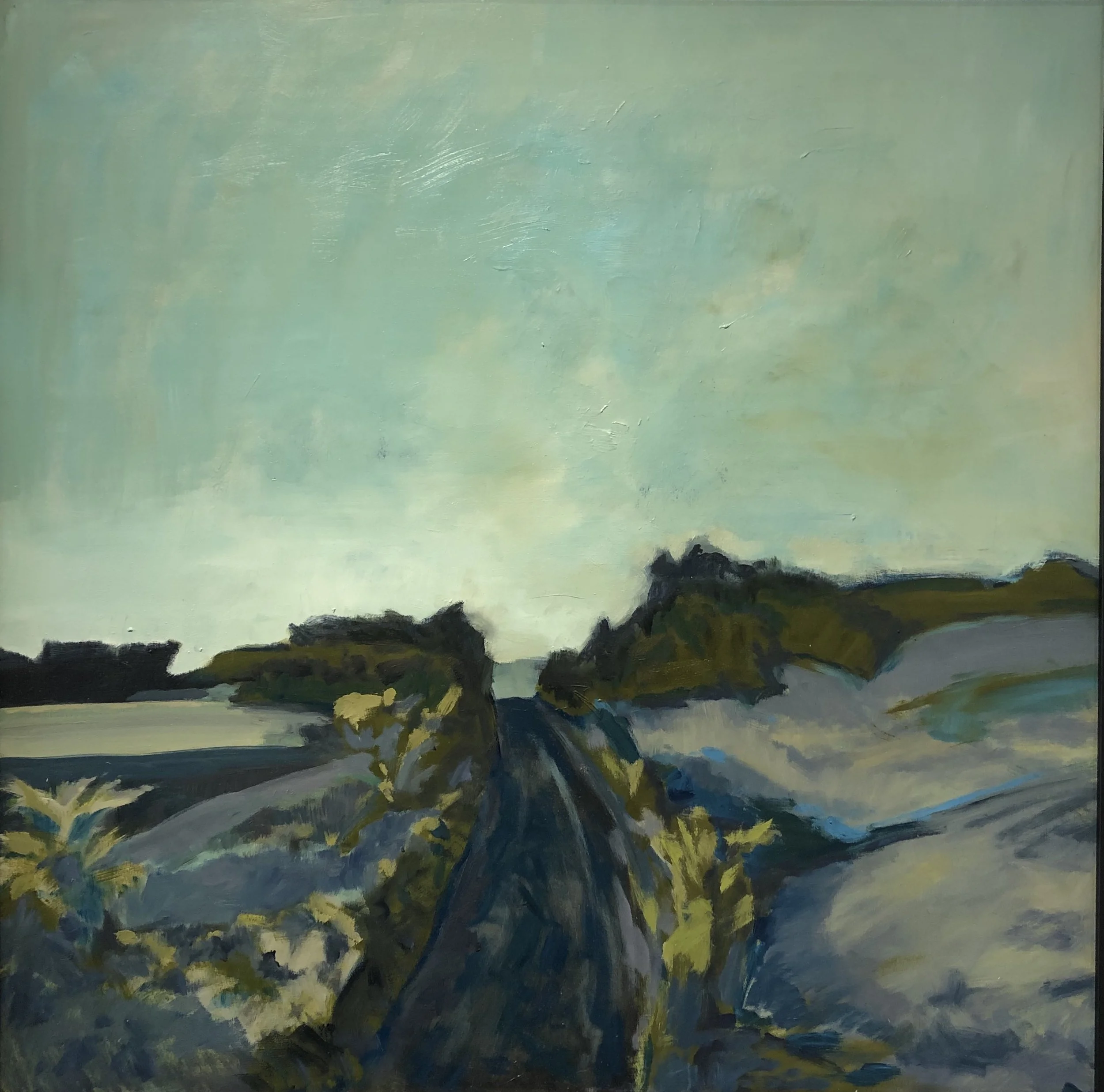 Bermingham Side Road Looking South 36x36.jpg
