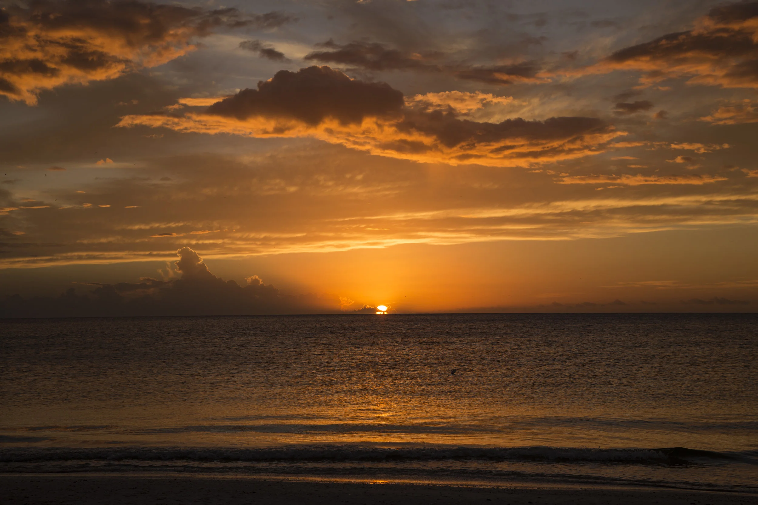 Marco Island, Florida