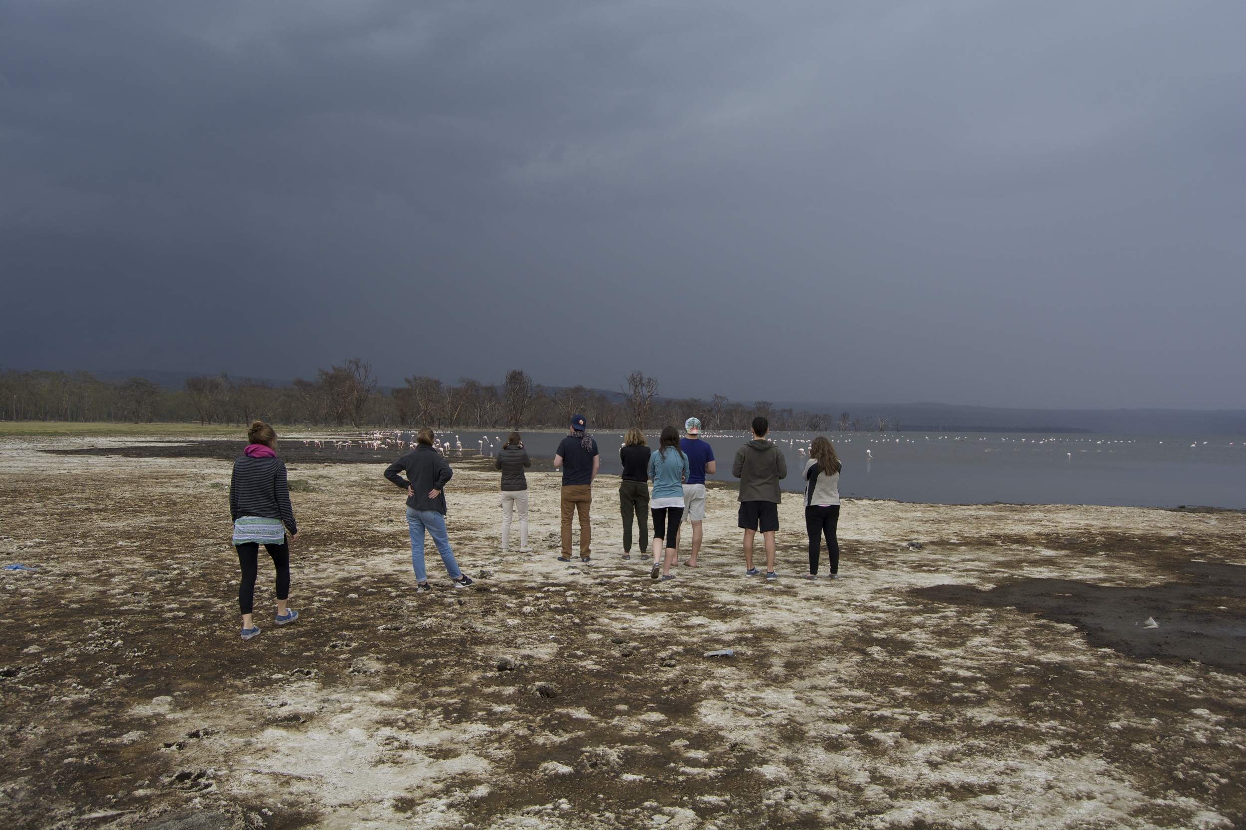 Day 2: The squad and what was left of the flamingo migration....;(