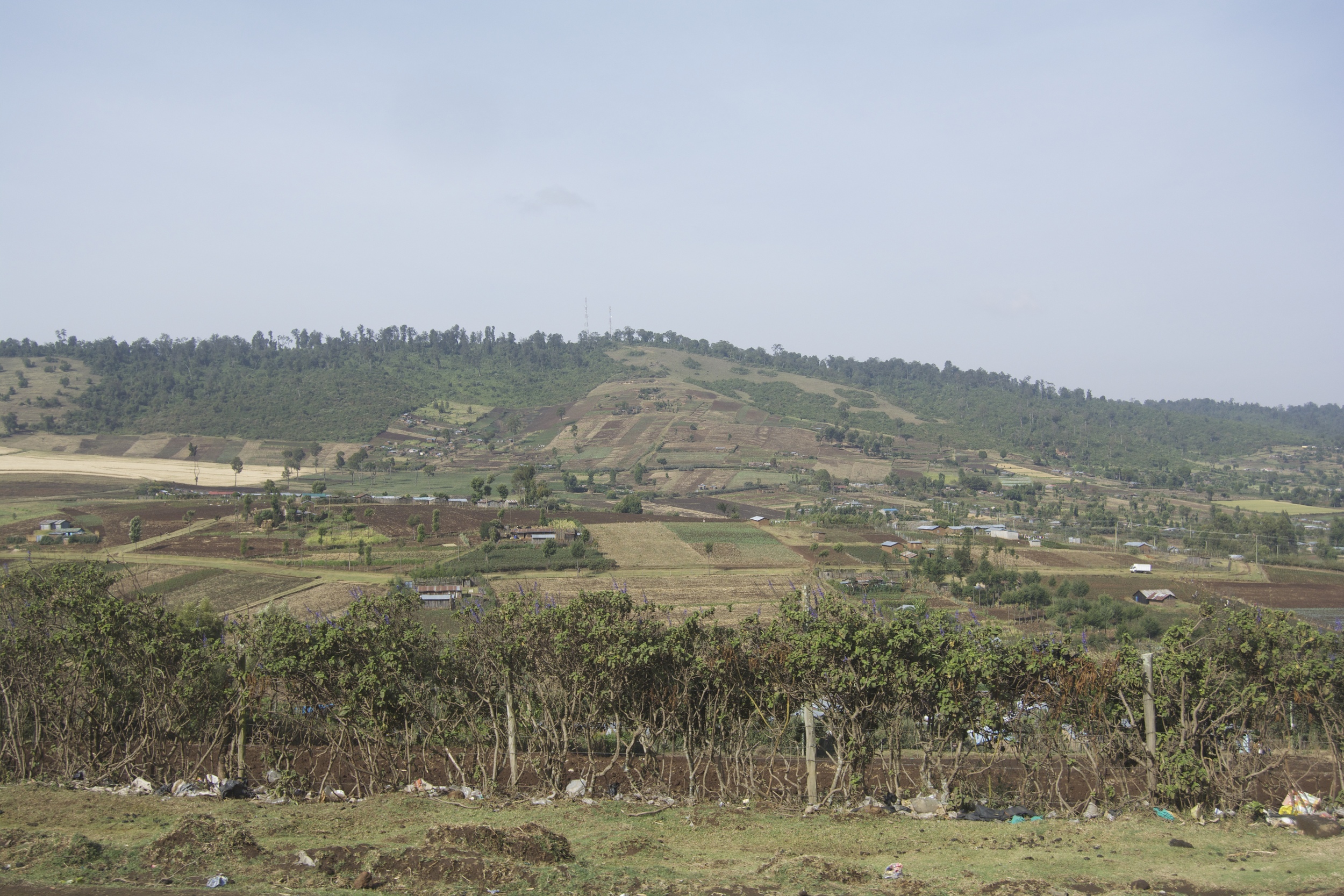 Day 3: Road to the Masai Mara