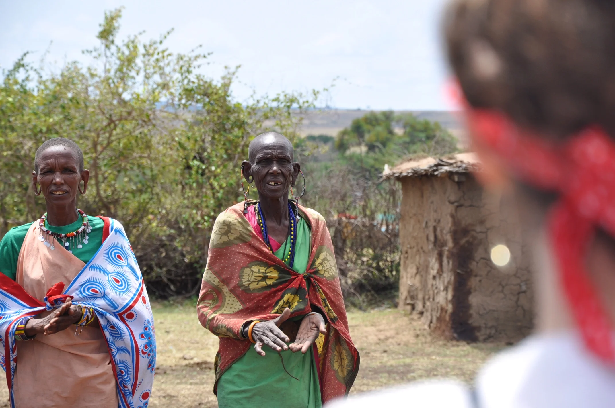  Day 4: the matriarchs&nbsp; 