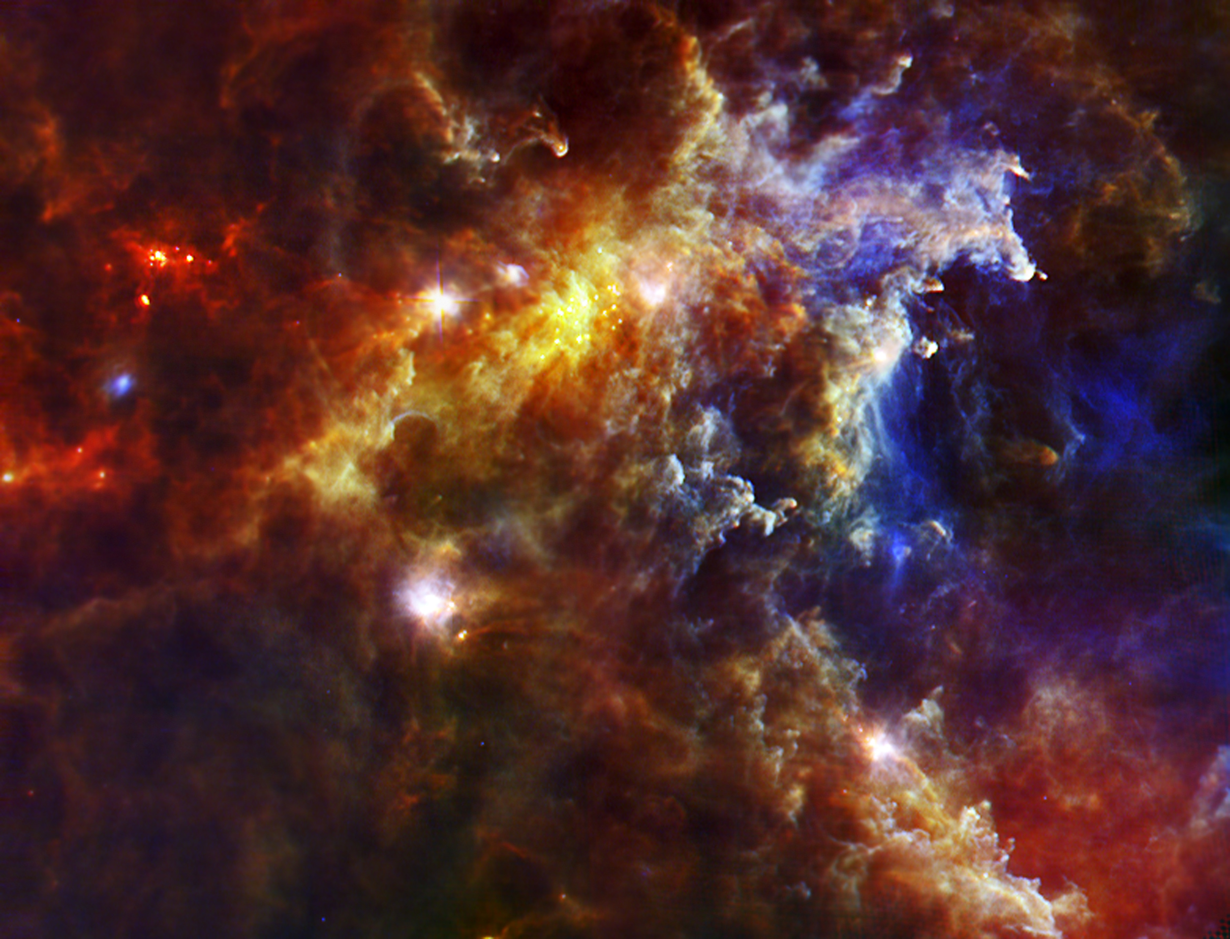 Embryonic_Stars_in_the_Rosette_Nebula.jpg
