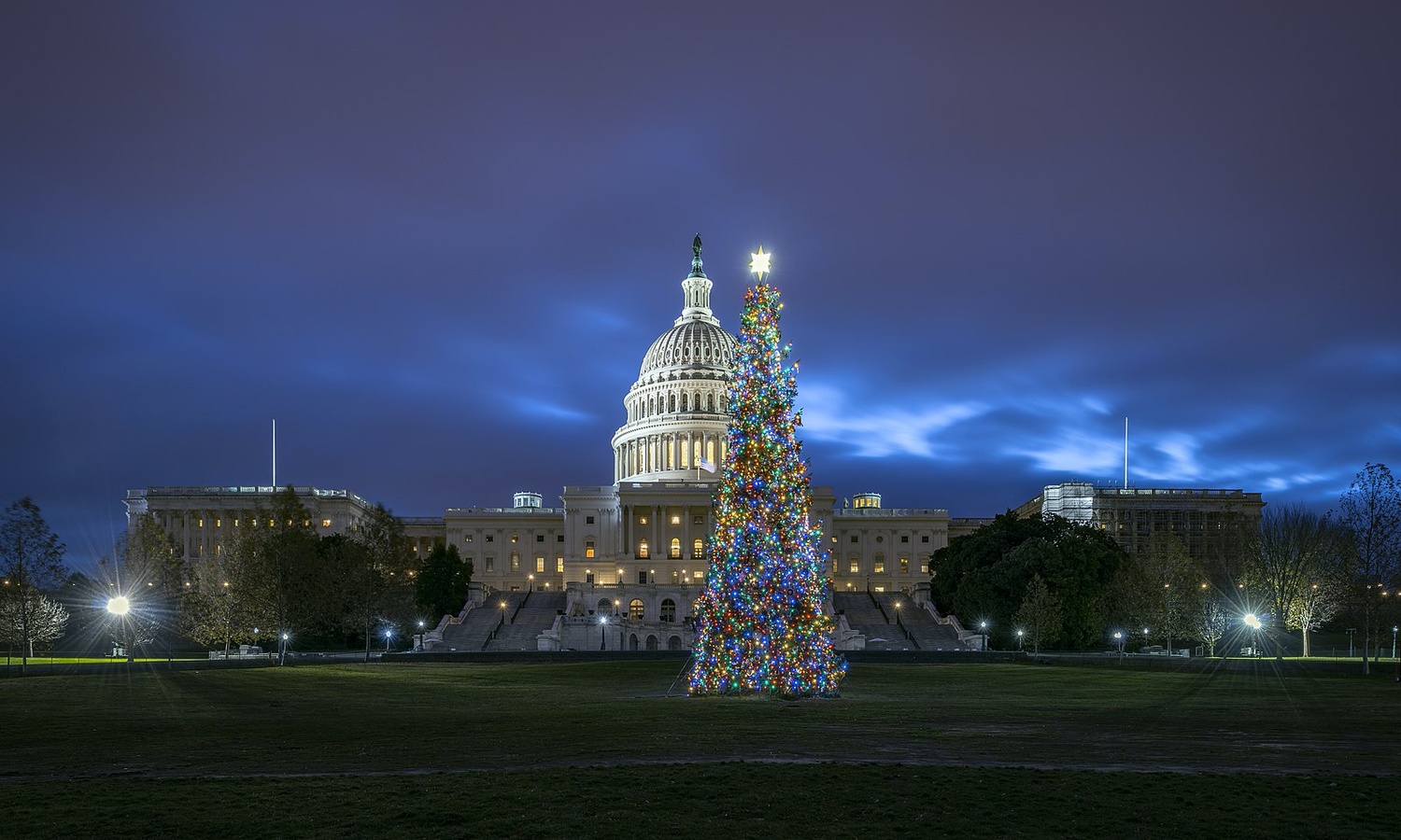 1600px-2018_U.S._Capitol_Christmas_Tree_Lit_(45686752534).png