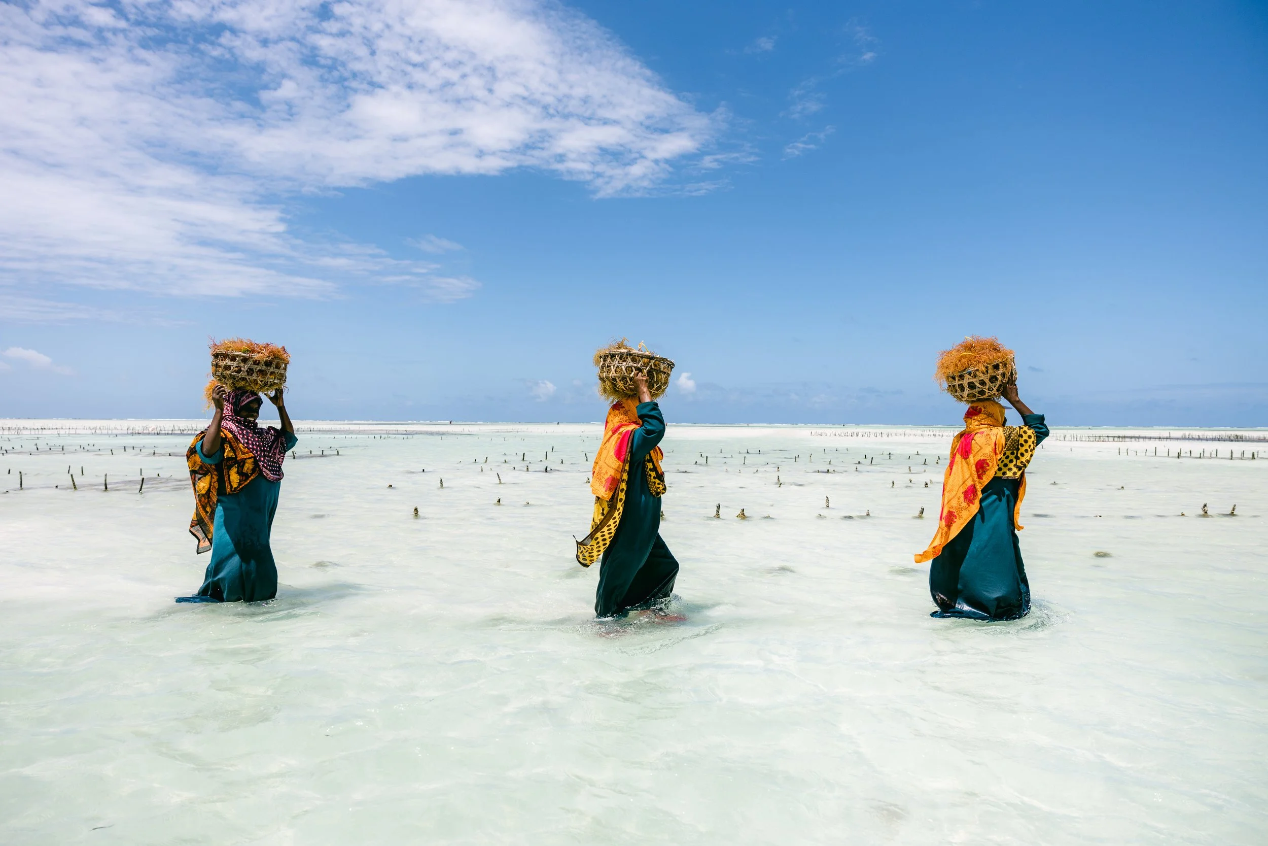 Women Made from Water | Documentary Short | Tanzania | Development
