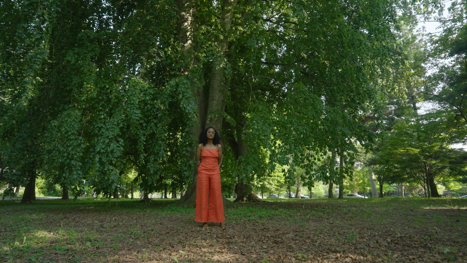 D4+Buffalo+20250607.05_01_48_15.Still046 (1).webp