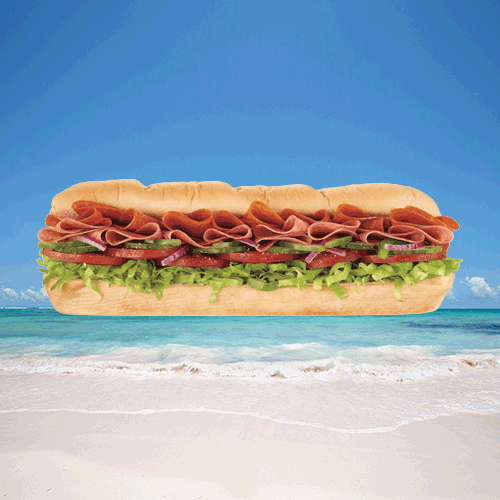 vacation_sub_1.gif