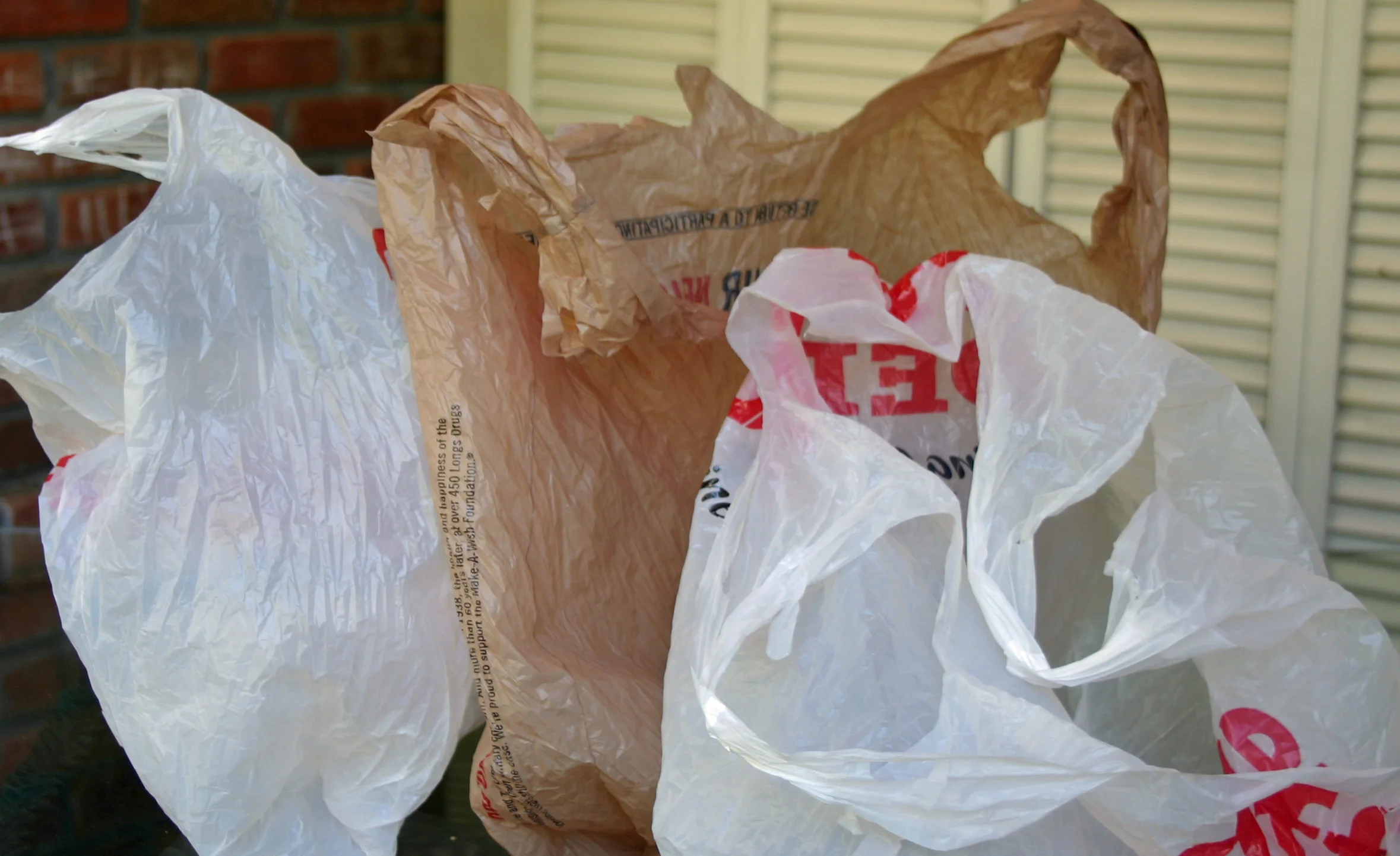 Paper or Plastic Shopping Bags?