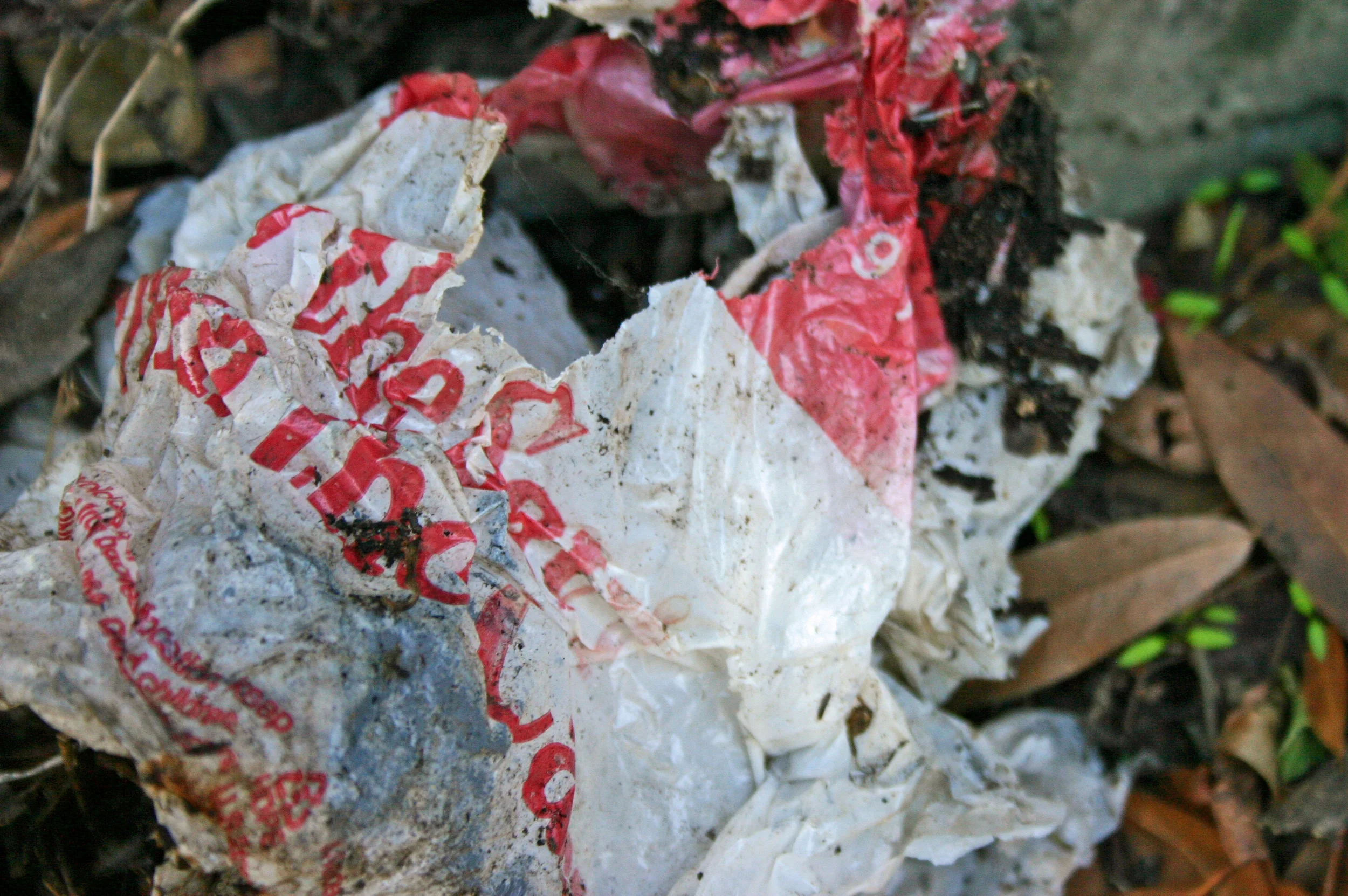 The Heavyweight Fight Over Shopping Bags