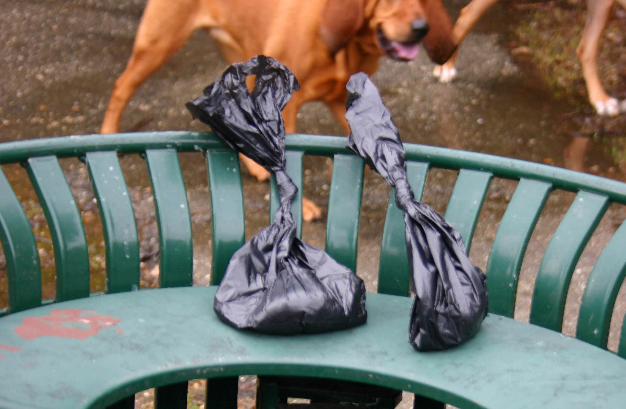 Eco-Friendly Options for Dog Waste Containment