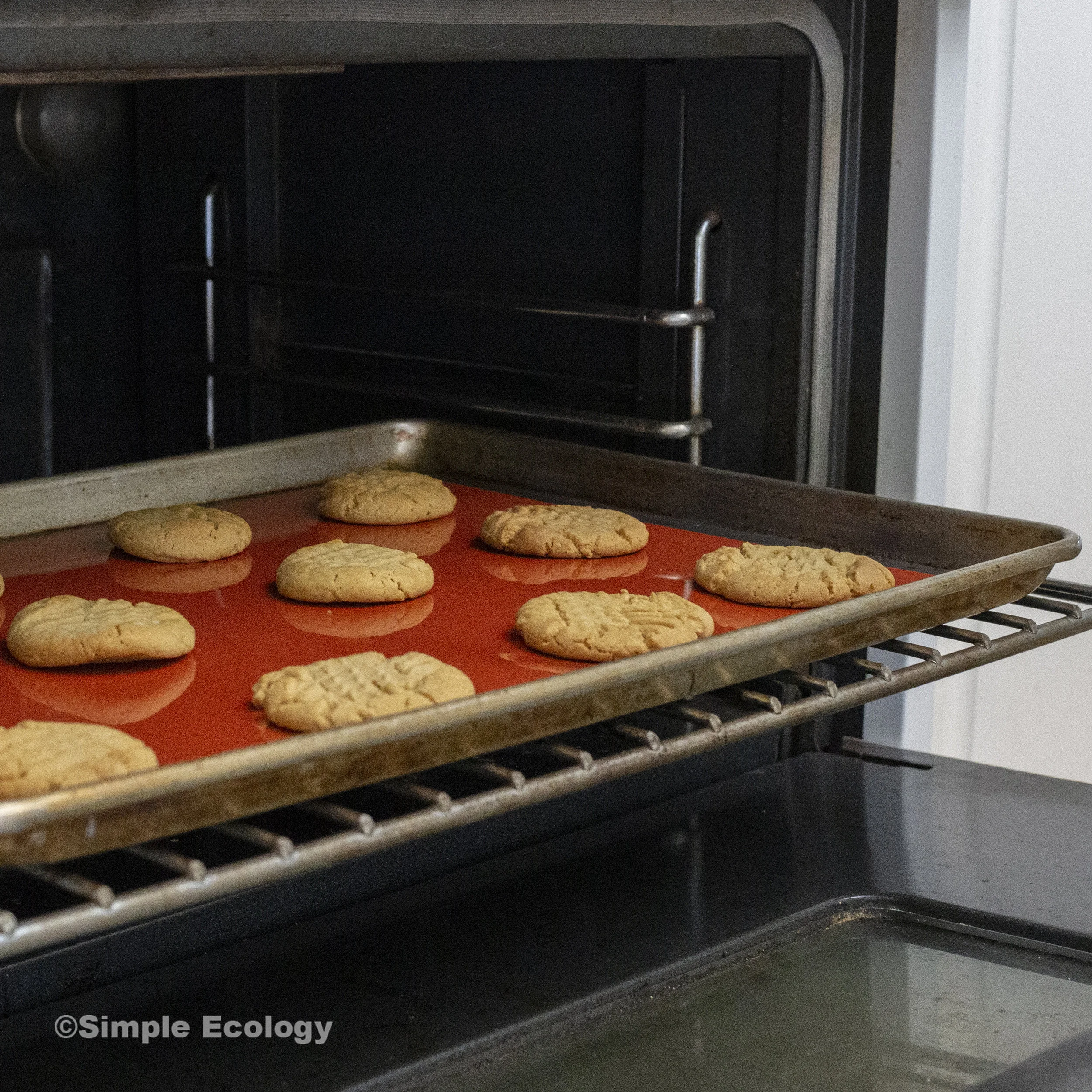 Terracotta Cookies in Oven SW.jpg