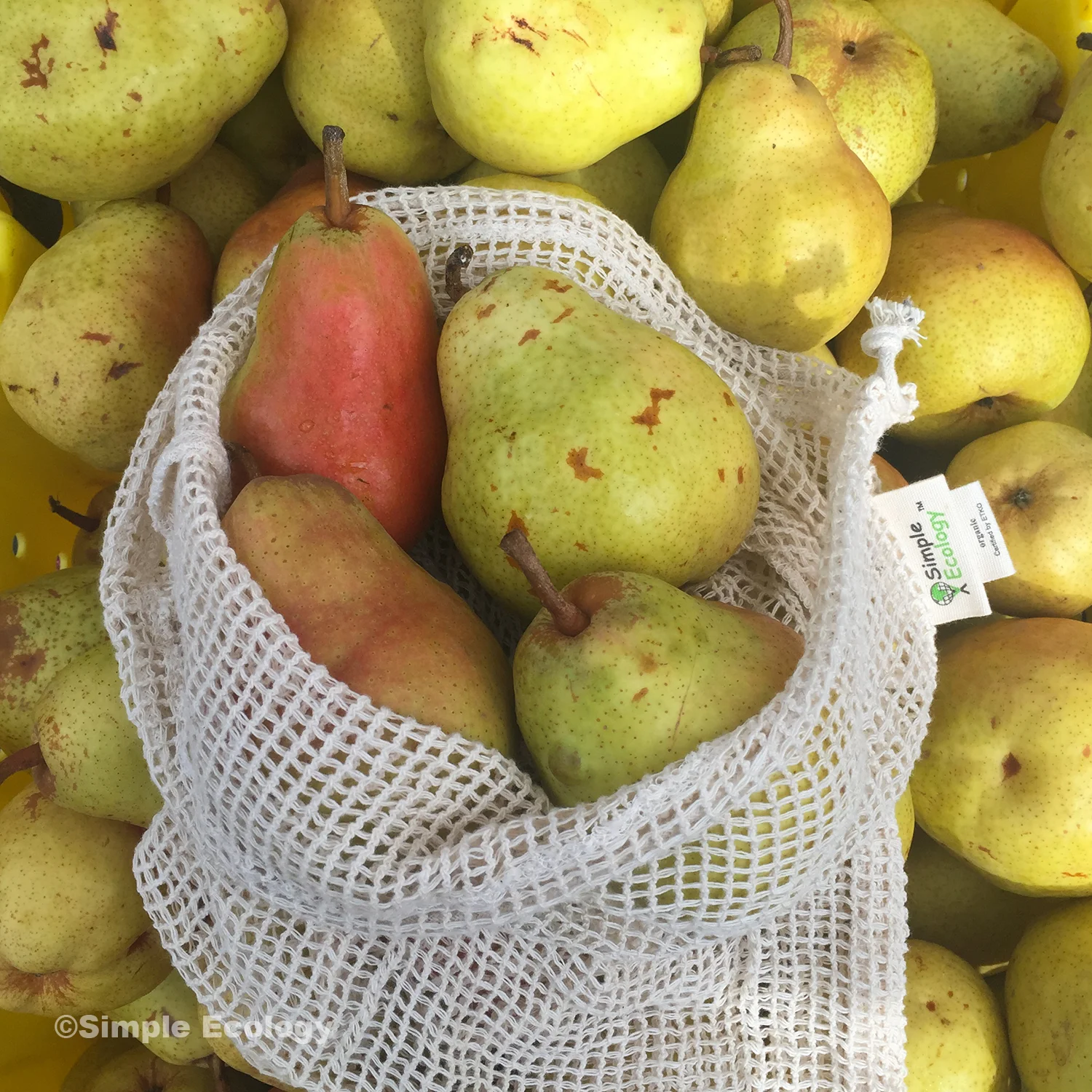 Mesh Pears SW.jpg