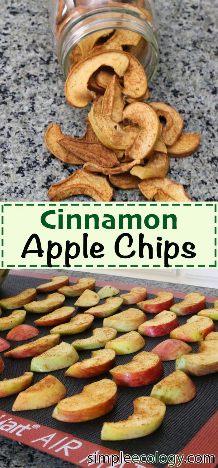 Apple Chip PIN with test.jpg
