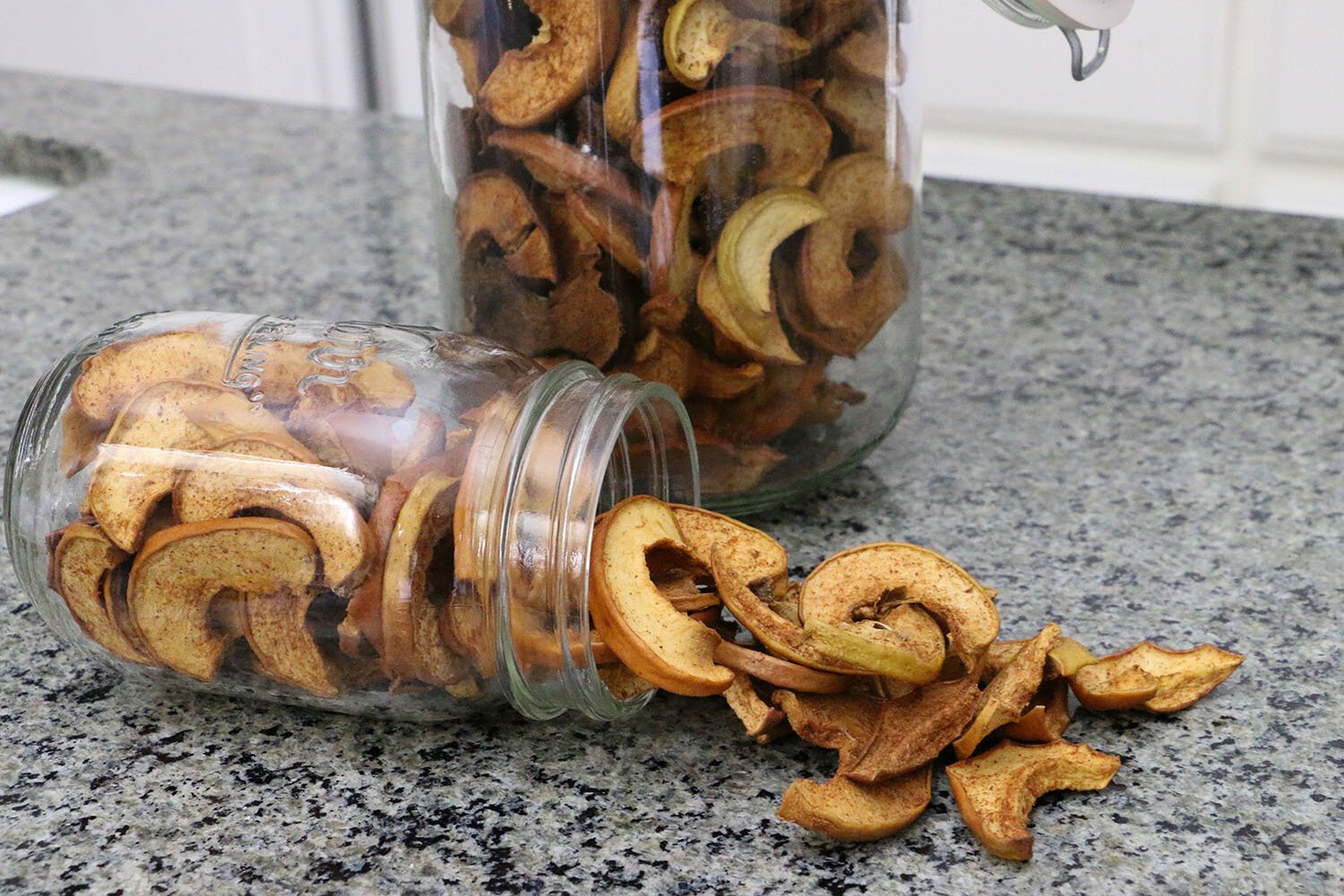 Cinnamon Apple Chips