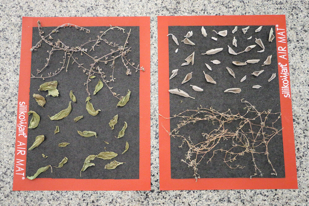 Oven dehydrated herbs on baking mat