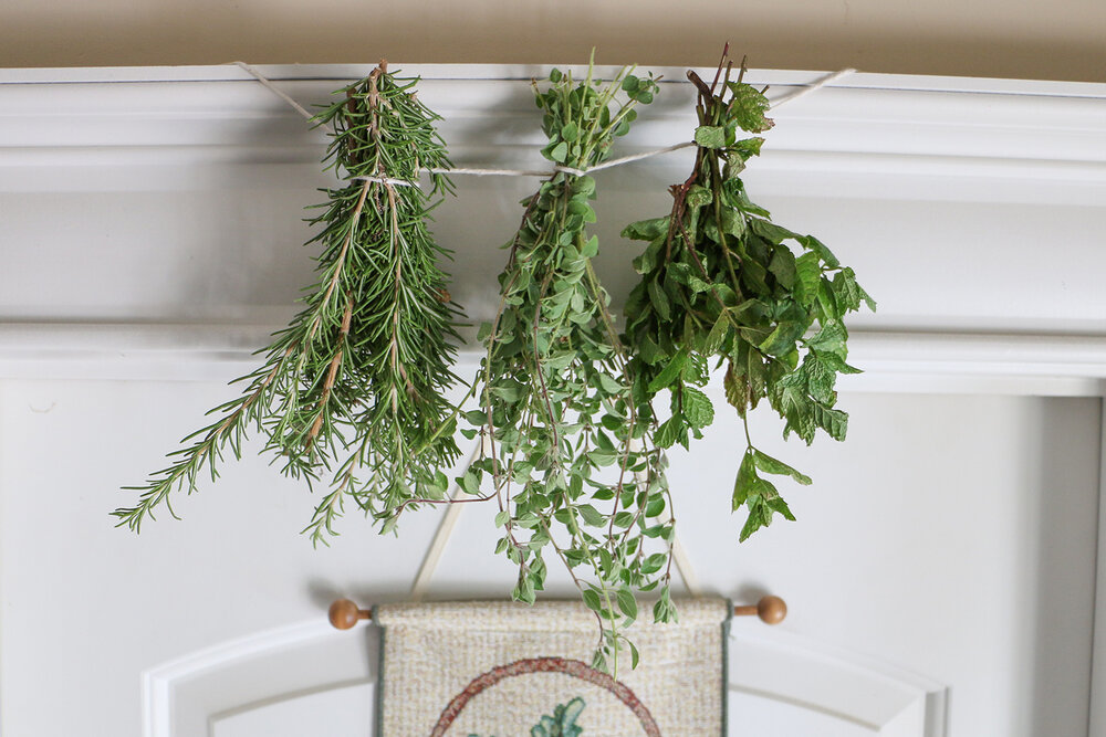Hang herbs to airdry cottagecore aesthetic