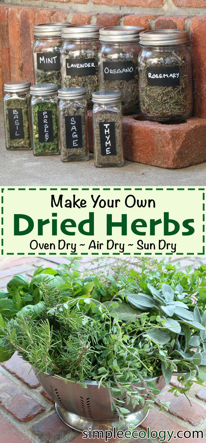 Dehydrating Herbs in my New Dehydrator! - Grandma's Little Gardens