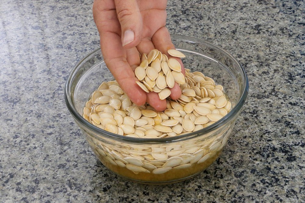 Seeds In Water.jpg