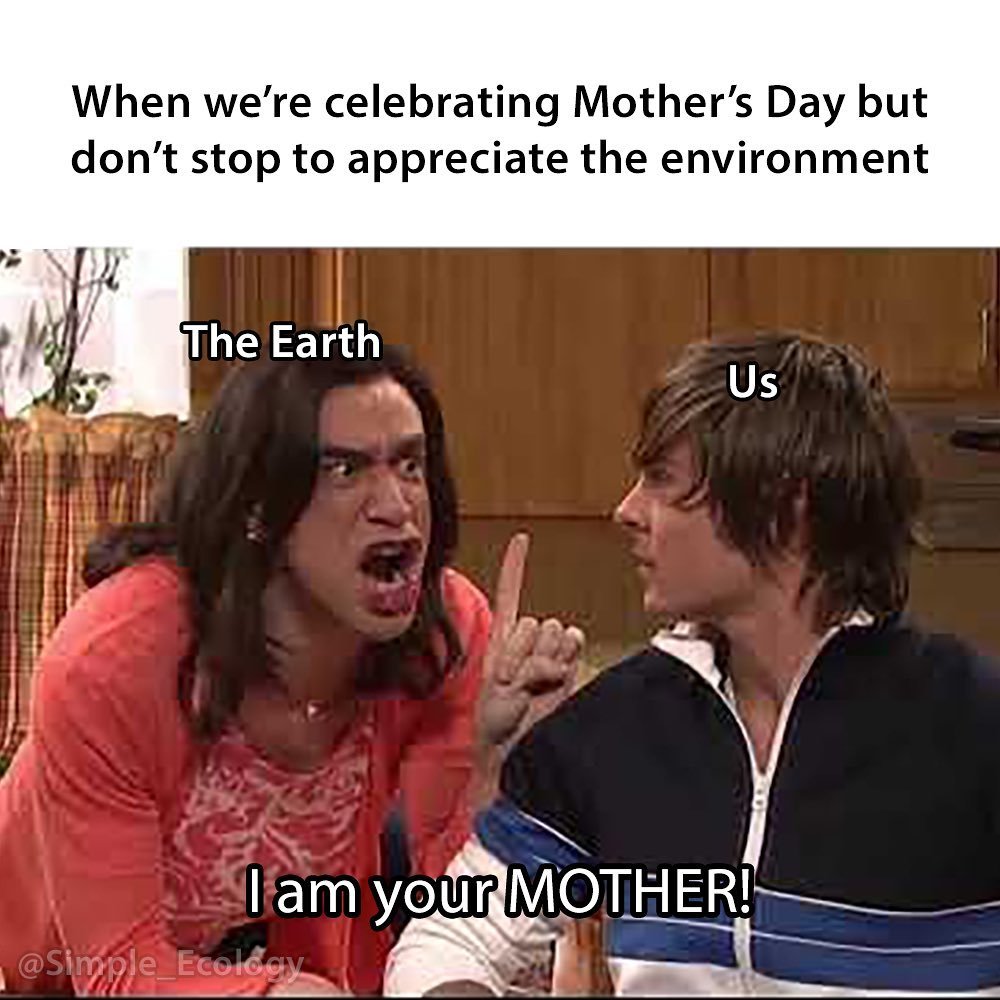Time to call the planet and tell her that you love her (and also all the moms out there) 💚🌸
.
.
.
.
#beinggreenissimple #zerowaste #plasticfree #sustainableliving #refillery #planetoverplastic #mothersday #memes #ecomeme #weekendvibes #springtime #