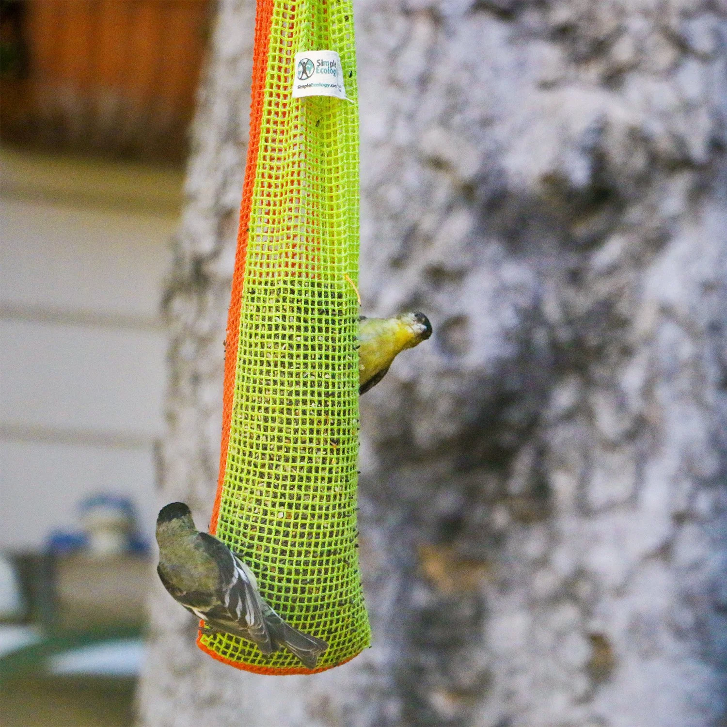 Birdfeeder 1.jpg