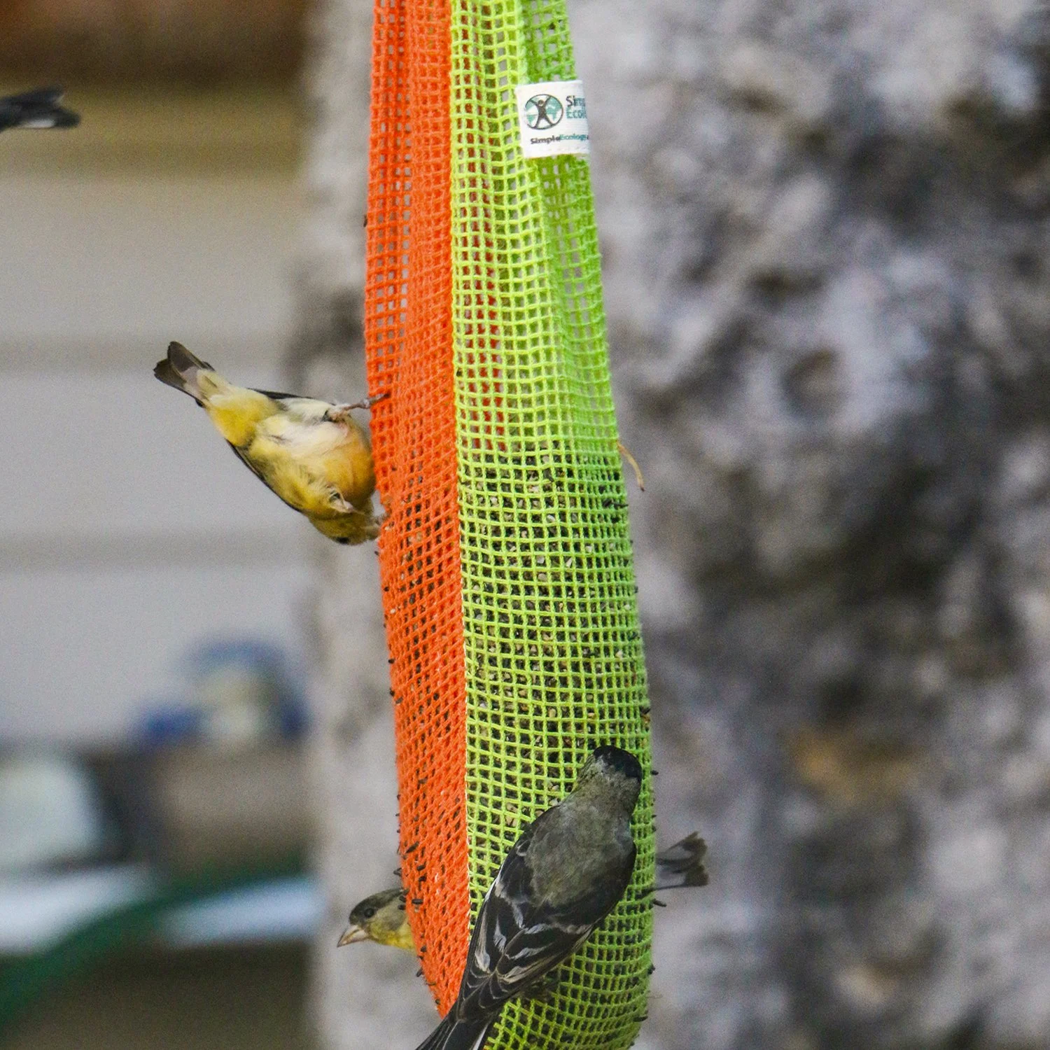 Birdfeeder 2 (square).jpg