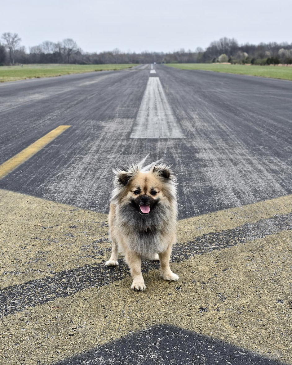 Screen Shot 2020-02-18 at 3.46.33 PM.png