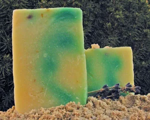 Groovy Grapefruit-web.jpg