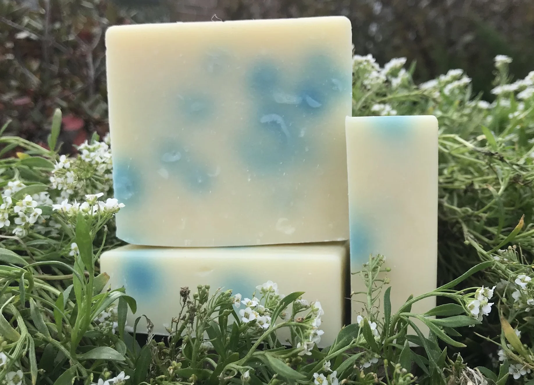 Heavenly Scent (3).JPG