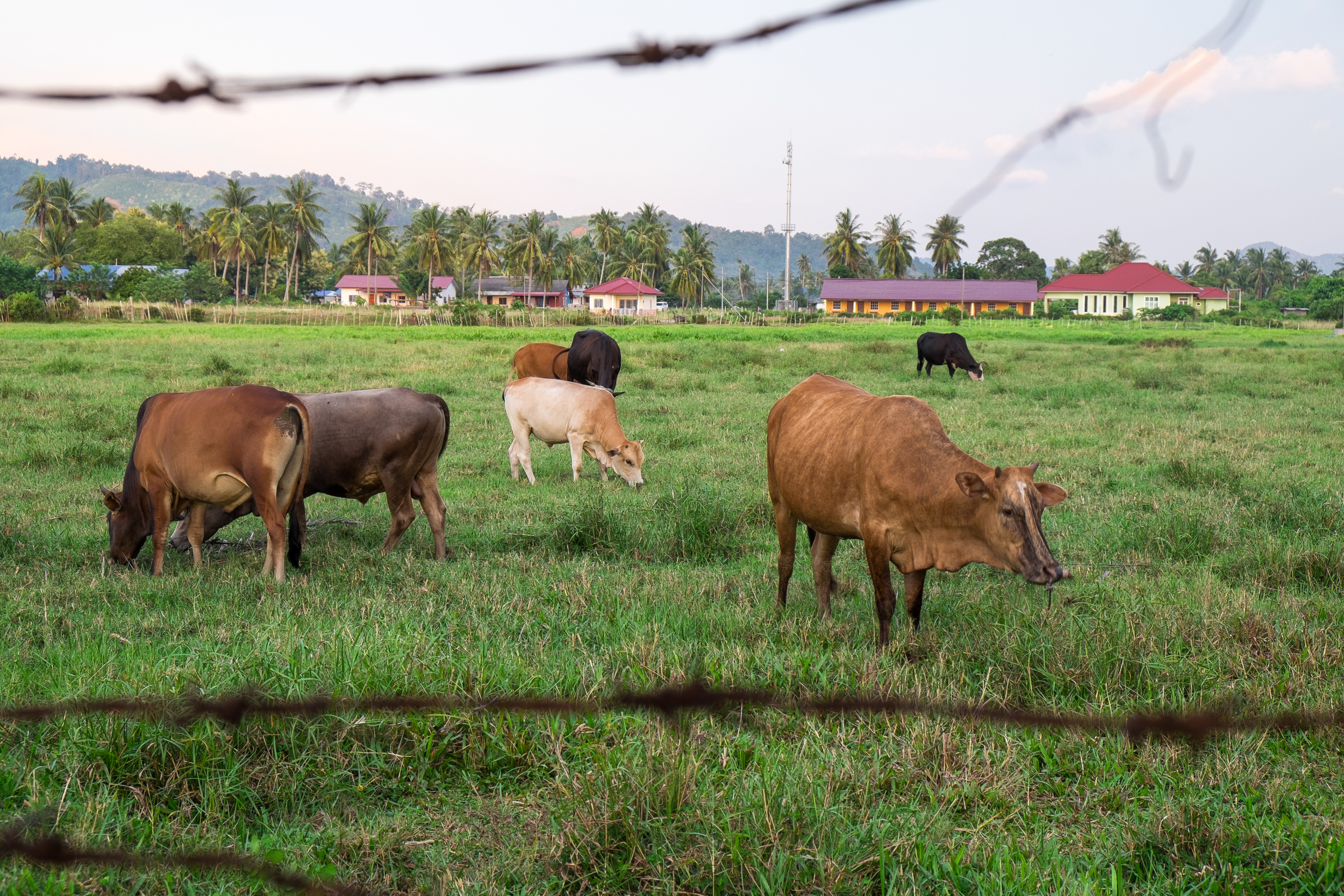 Langkawi, Malaysia