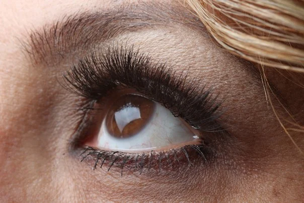 lashes3.jpg